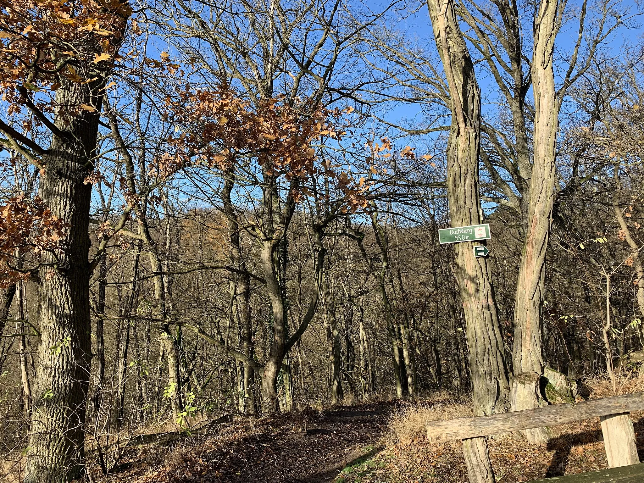 Photo showing: Der Dachsberg ist eine 106 Meter hohe Erhebung in Oberbarnim, Brandenburg