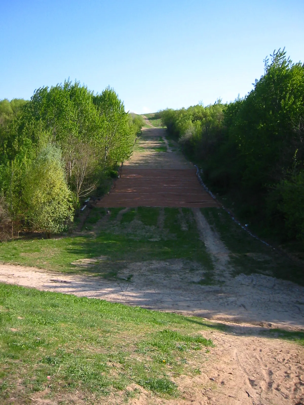 Photo showing: Berlin - Ahrensfelder Berge - view up the toboggan run