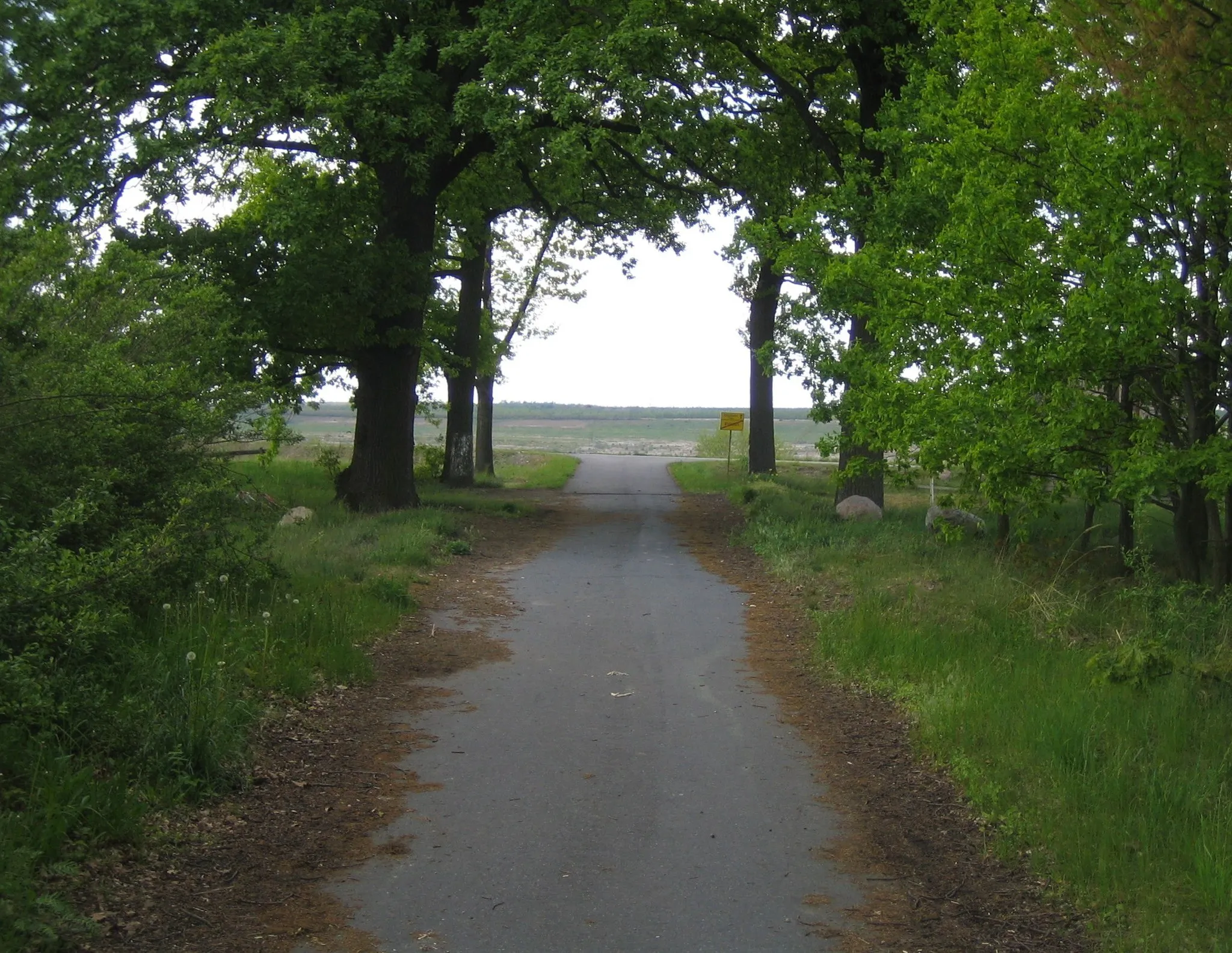 Photo showing: Alte Straße von Pritzen nach Altdöbern (Pritzen-Dorfstraße). Durch den ehemaligen Tagebau endet diese nun im Altdöberner See. (inoffizielles Ortsschild: Pritzen / Altdöbern 3km)