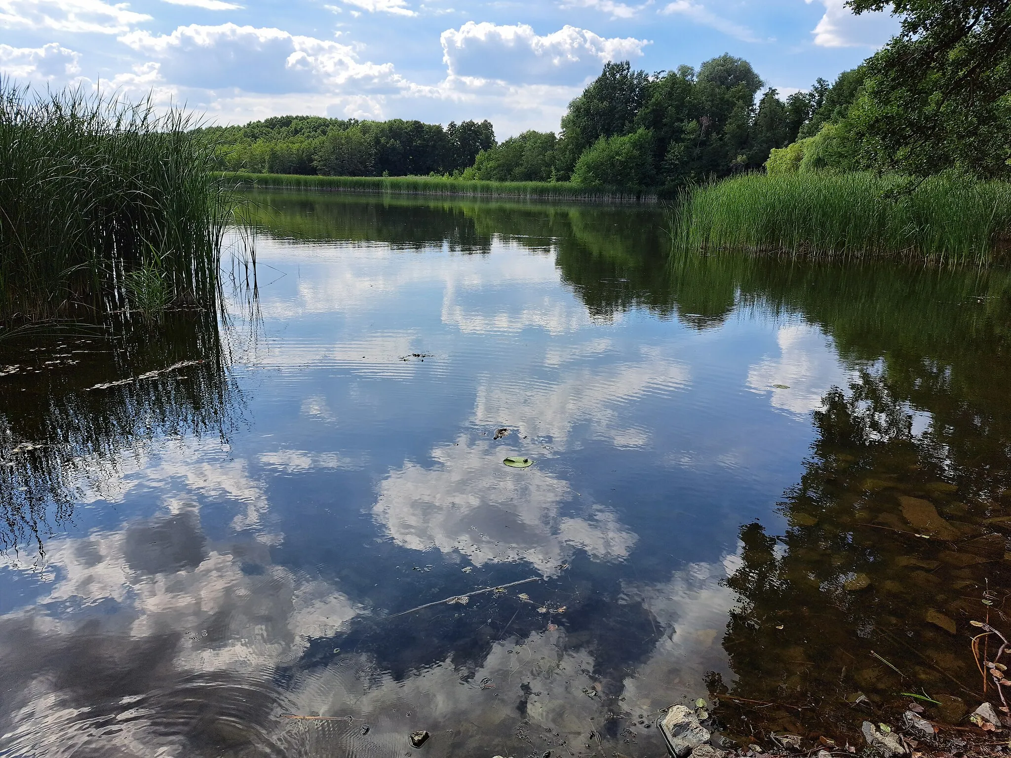 Photo showing: Der Mellensee ist ein See südlich von Berlin bei der Ortschaft Mellensee der Gemeinde Am Mellensee im Brandenburger Landkreis Teltow-Fläming.