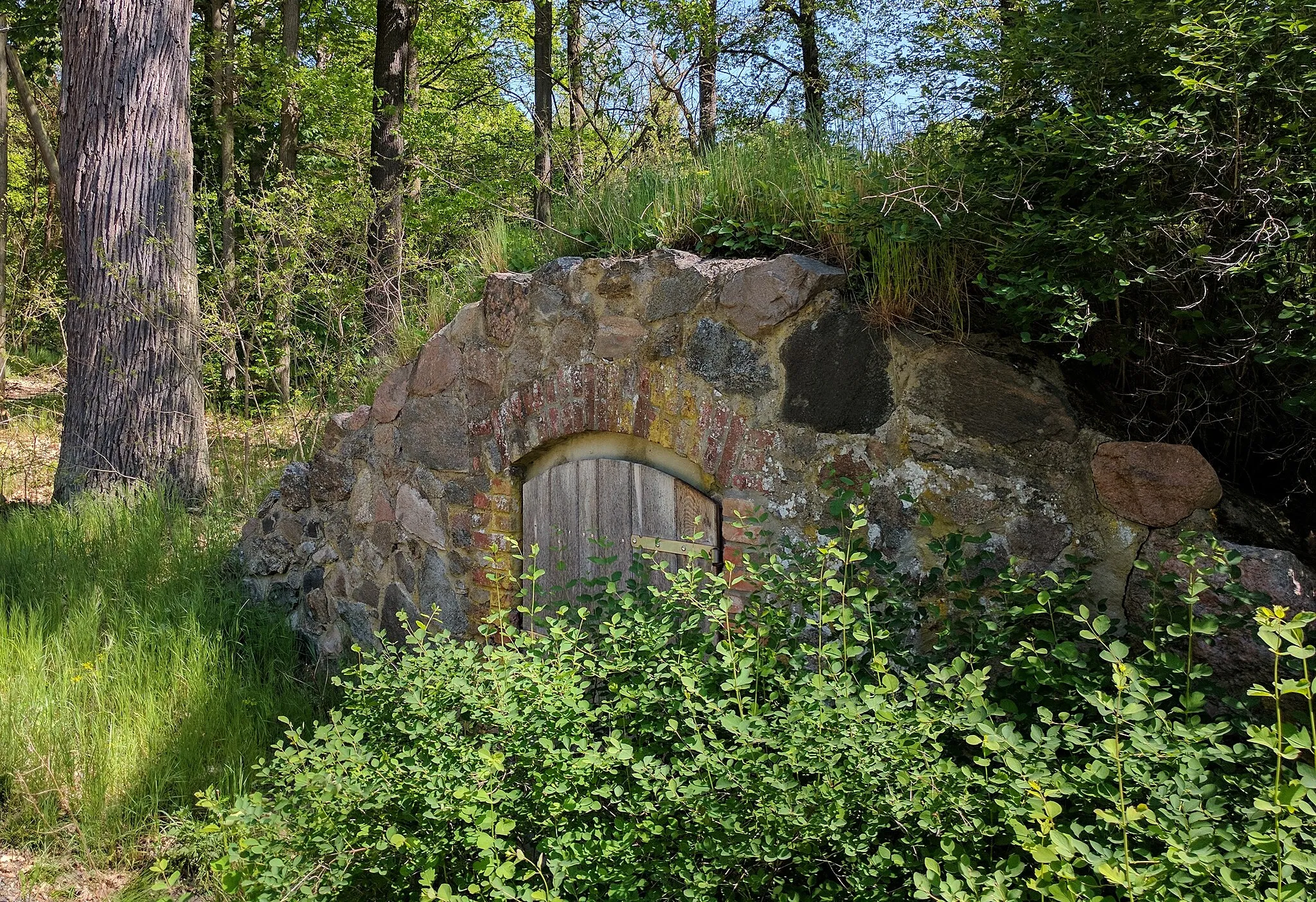 Photo showing: Ehemaliger Wildkeller am Forsthaus Dubrow im Waldgebiet der Dubrow (Land Brandenburg, Landkreis Dahme-Spreewald, Gemarkung Gräbendorf). Der Wildkeller diente ursprünglich als Kühllager für erlegtes Wild in der Dubrow. Heute ist er ein geschütztes Fledermausquartier. Die Dubrow ist ein Trauben-Eichenmischwald und als Naturschutzgebiet gesichert.