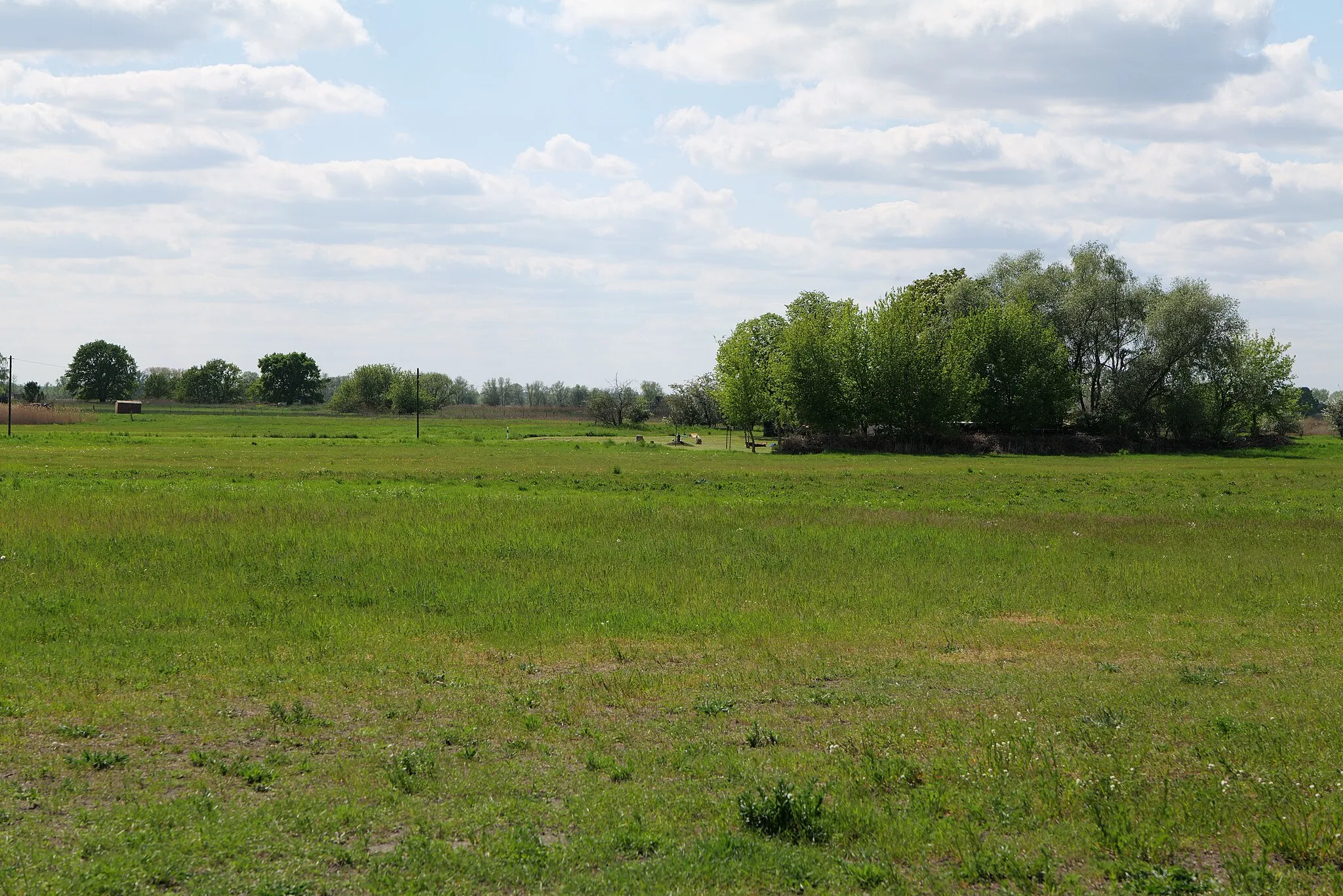 Photo showing: Salzstelle Nauen am 15. Mai 2020.