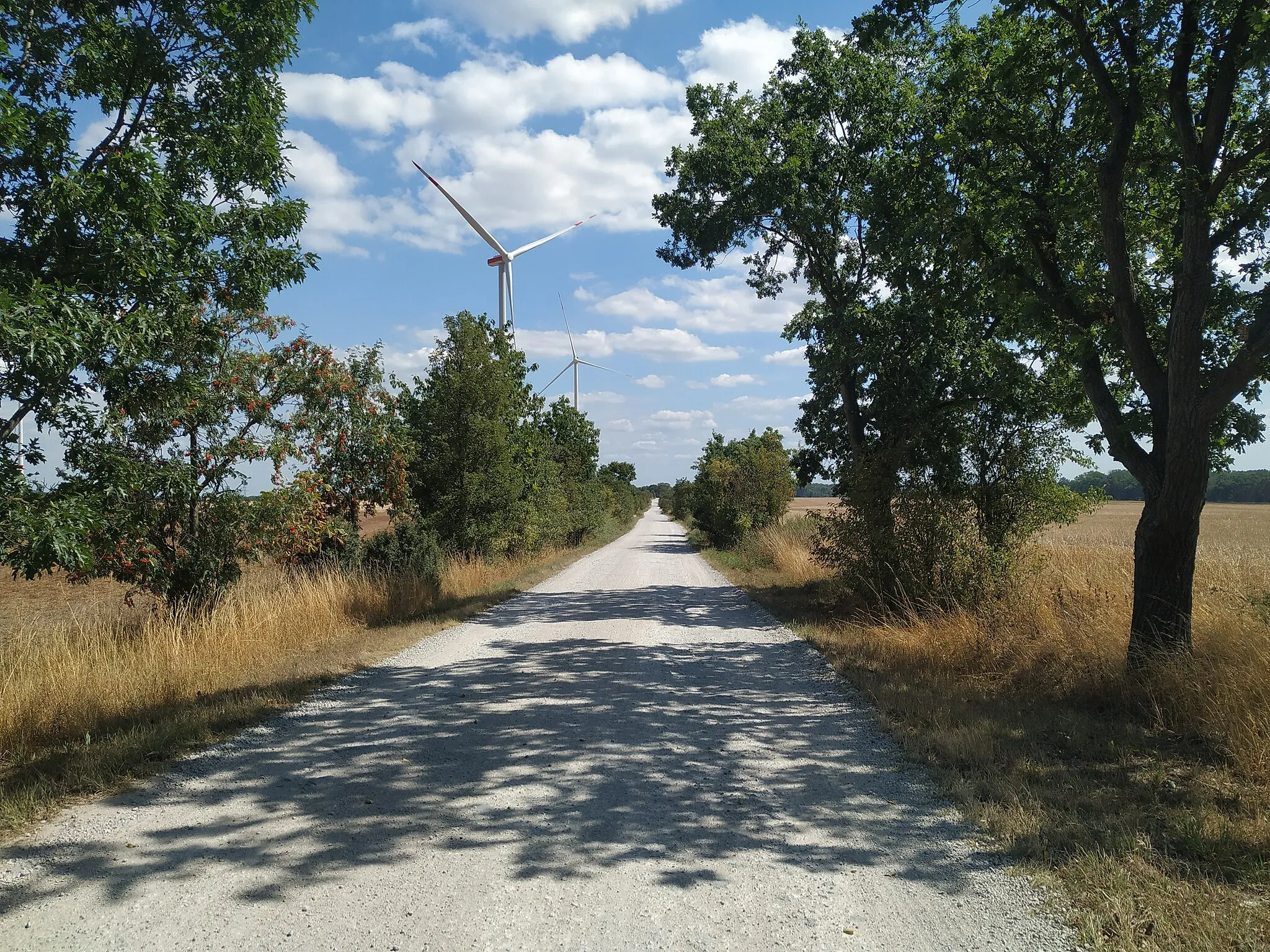 Photo showing: Feldweg zwischen Blumberg und Mehrow in Brandenburg (Landkreis Barnim)