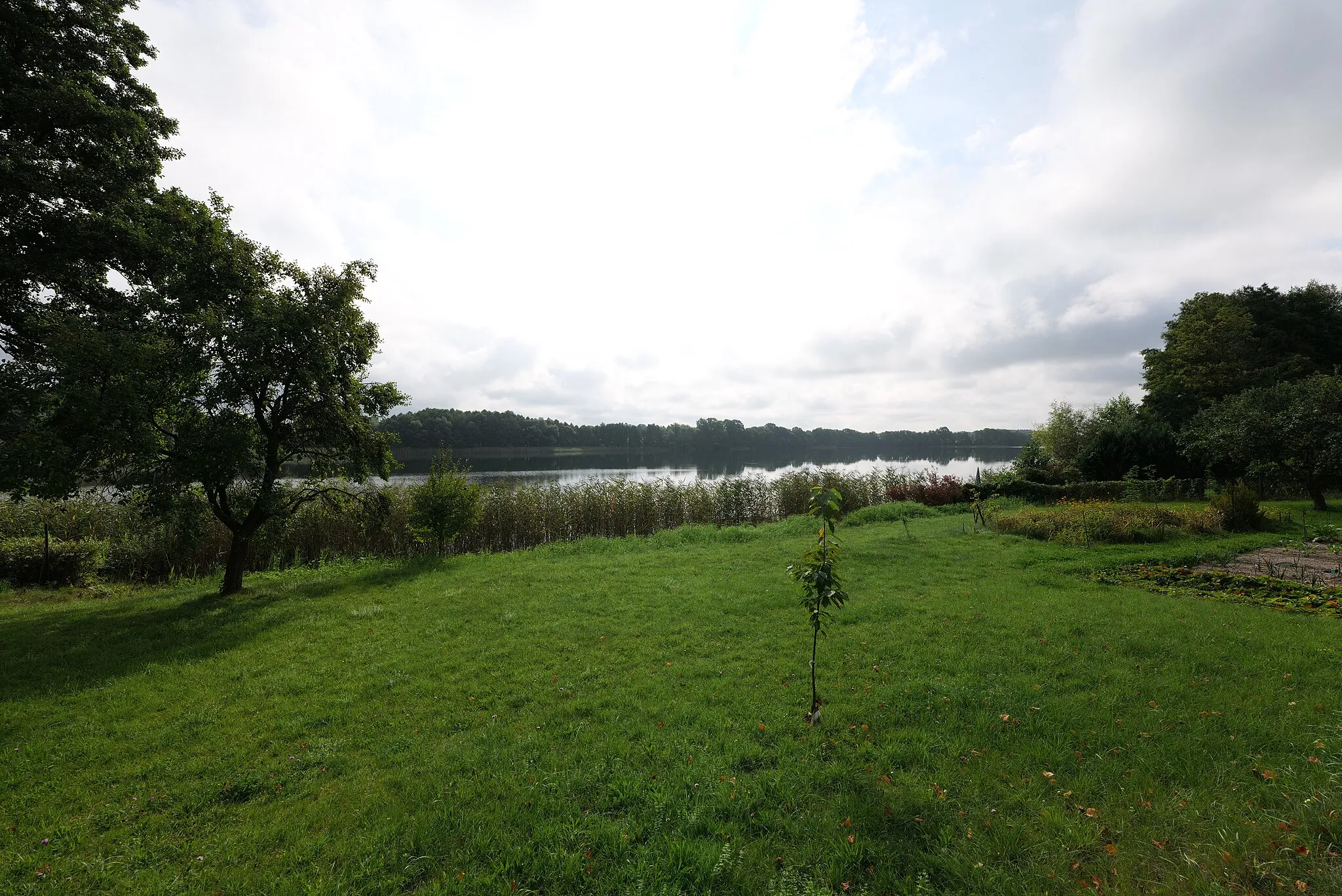 Photo showing: Lutowsee in Wokuhl-Dabelow.