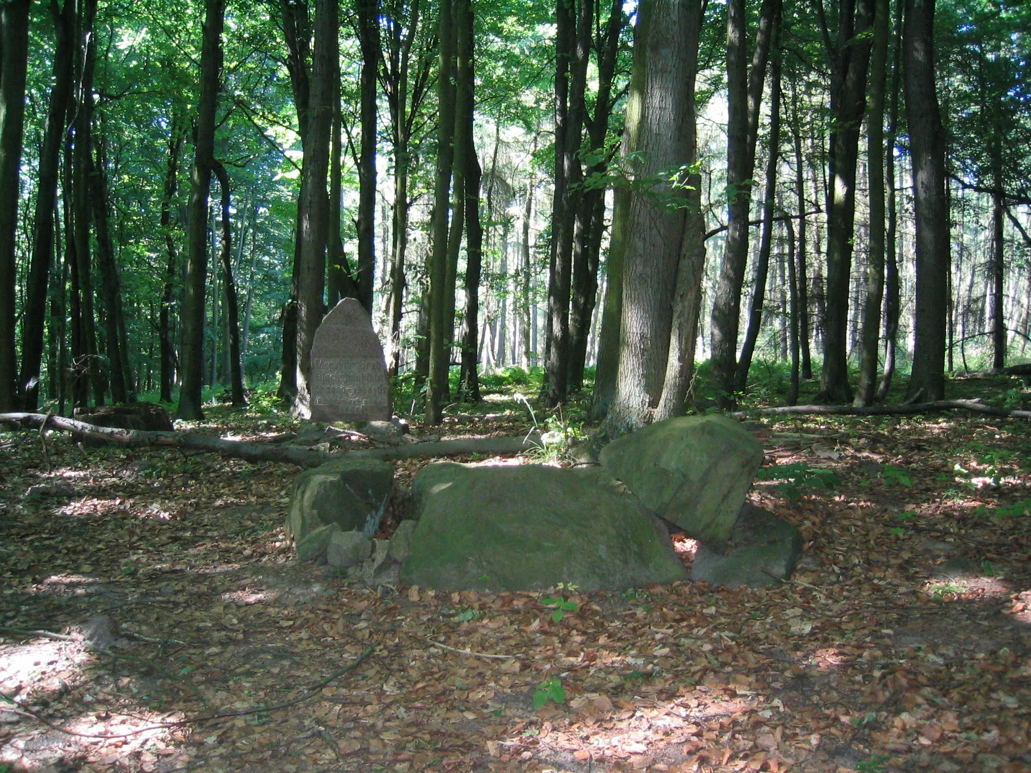 Photo showing: Blocksteinkistengrab auf dem Zimmerberg in der Uckermark. (Nähe BAB11 - Abfahrt Warnitz)
