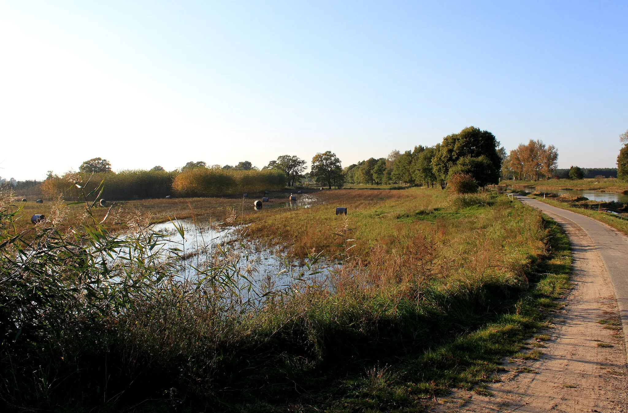 Photo showing: Damm der Schwarzen Elster bei Würdenhain, nach dem Elsterhochwasser 2010