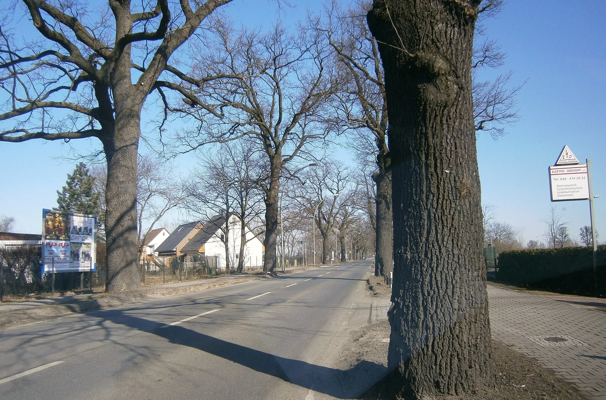 Photo showing: Schönerlinder Straße ist eine Straße im Ortsteil Berlin-Französisch Buchholz (hier in Blickrichtung: Nord)