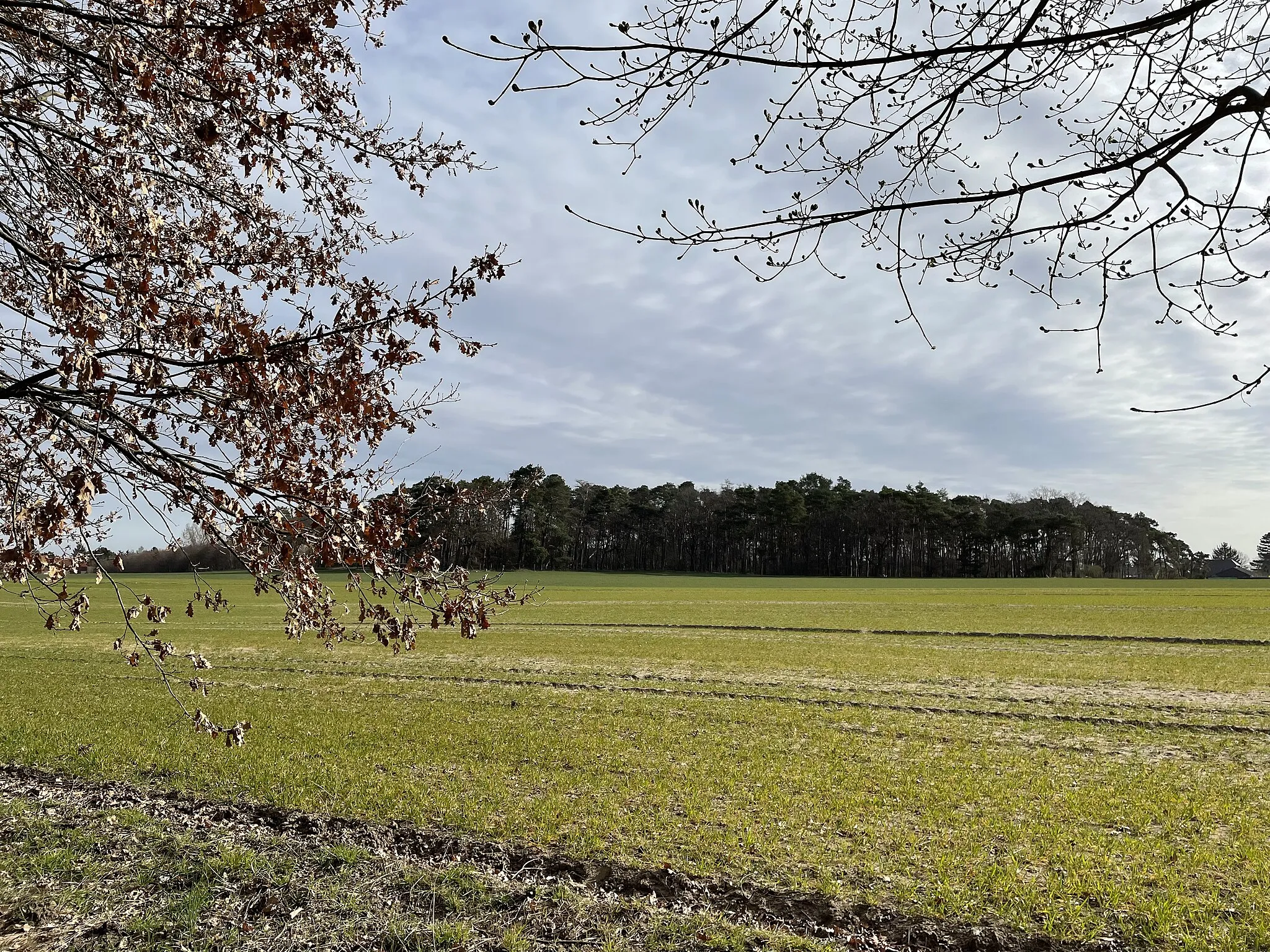 Photo showing: Lauseberg, 72m hohe Erhebung in Wildau, Brandenburg