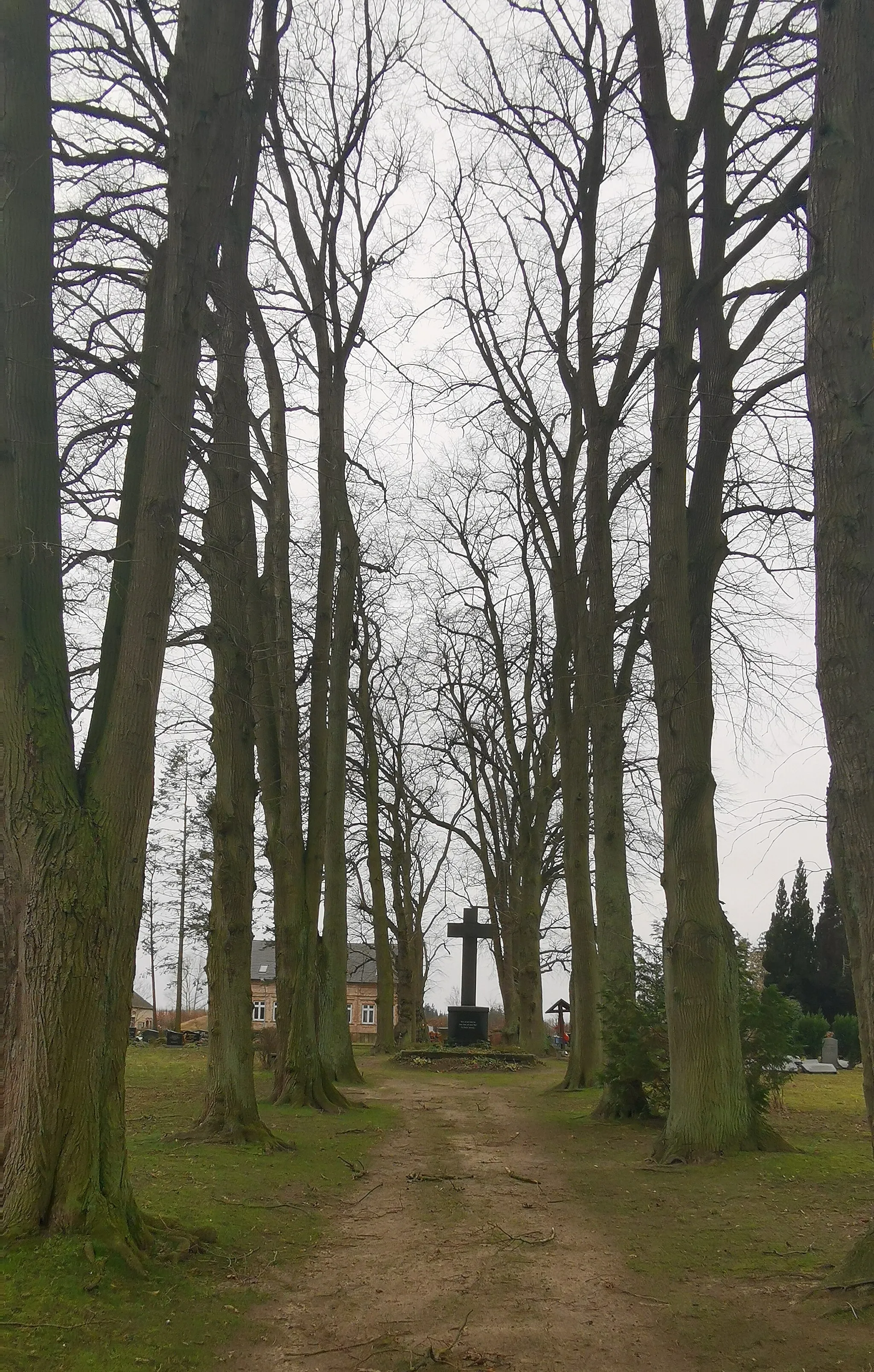 Photo showing: Denkmalgeschützte Lindenallee mit Kreuz auf dem Friedhof Nackel