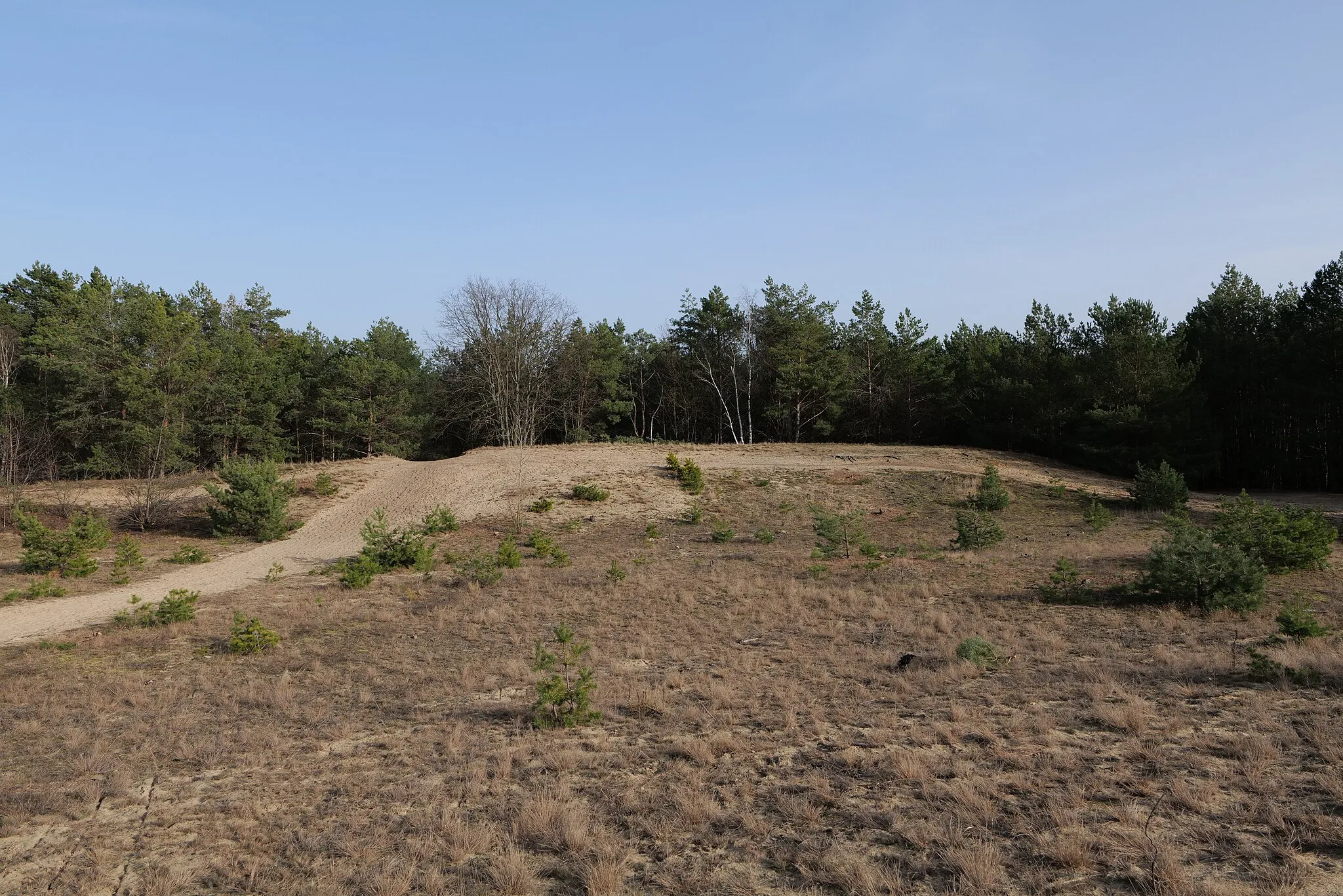 Photo showing: Eichberg im SAC Saarmunder Berg am 24. Februar 2021.