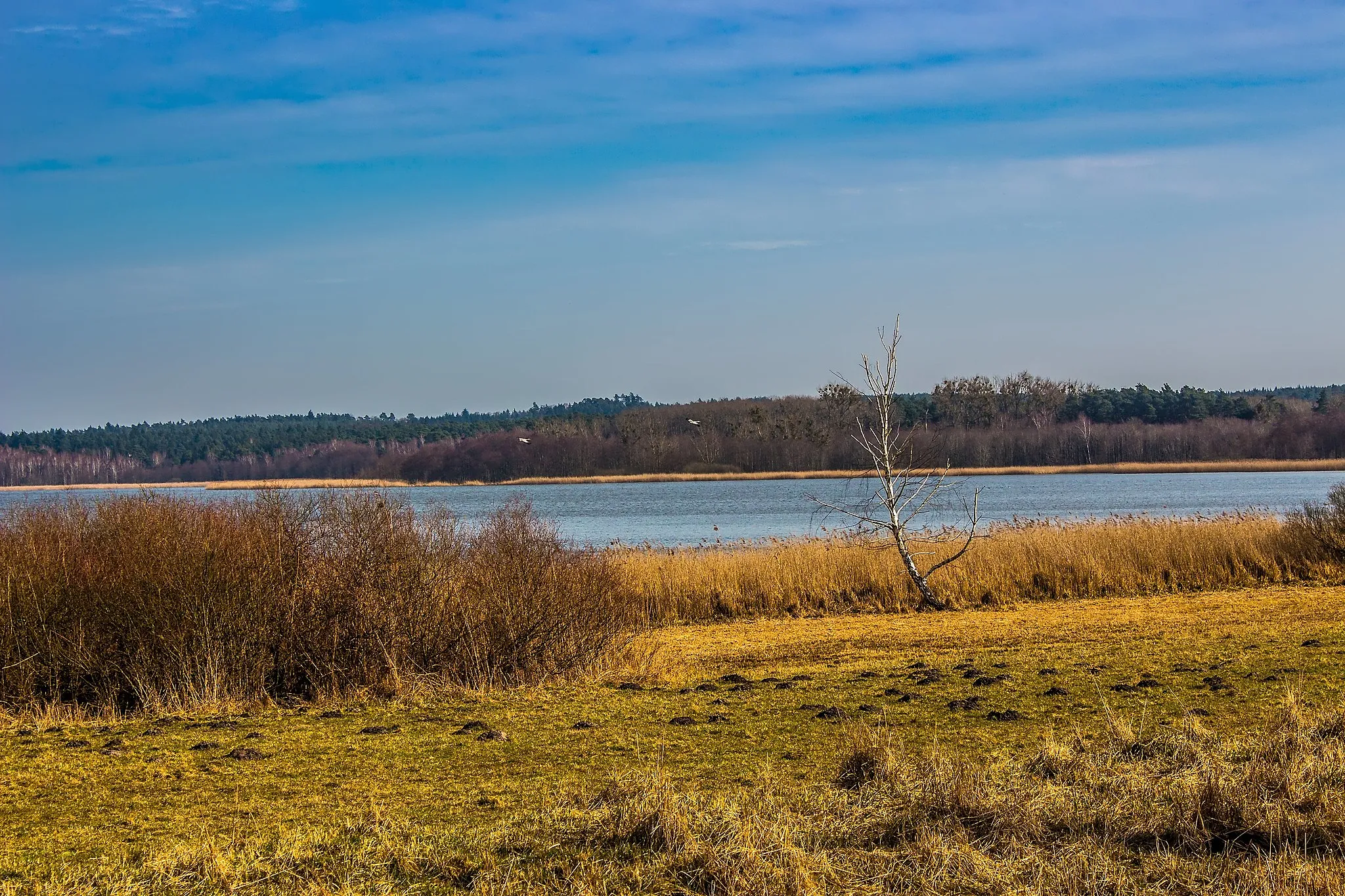 Photo showing: Felchowsee