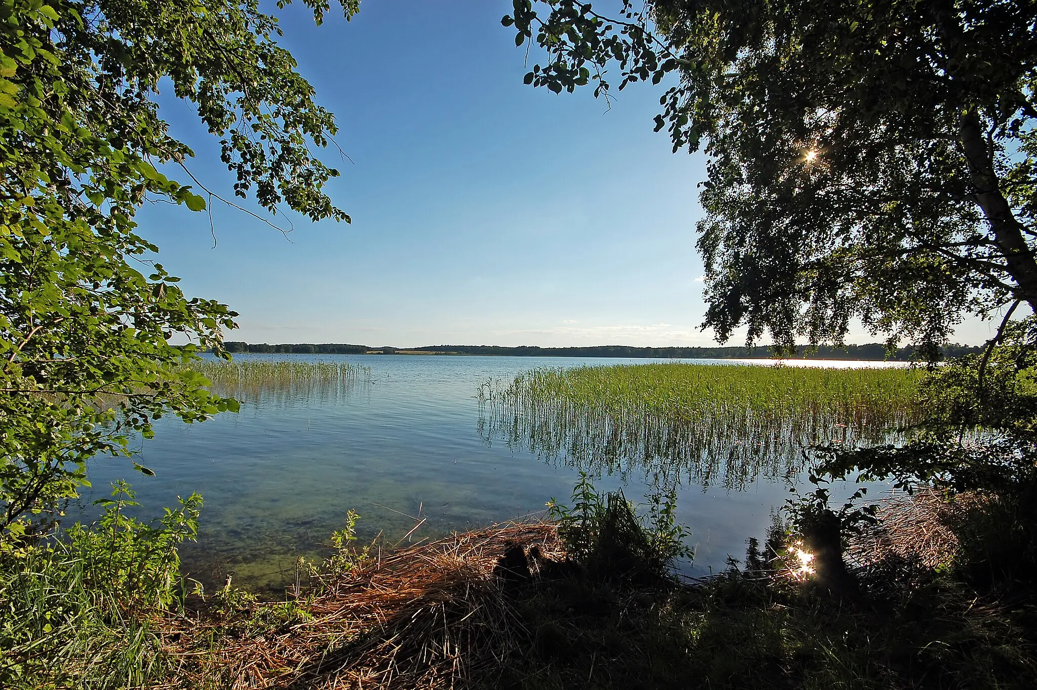 Photo showing: Angermünde; Badestelle am Parsteinsee