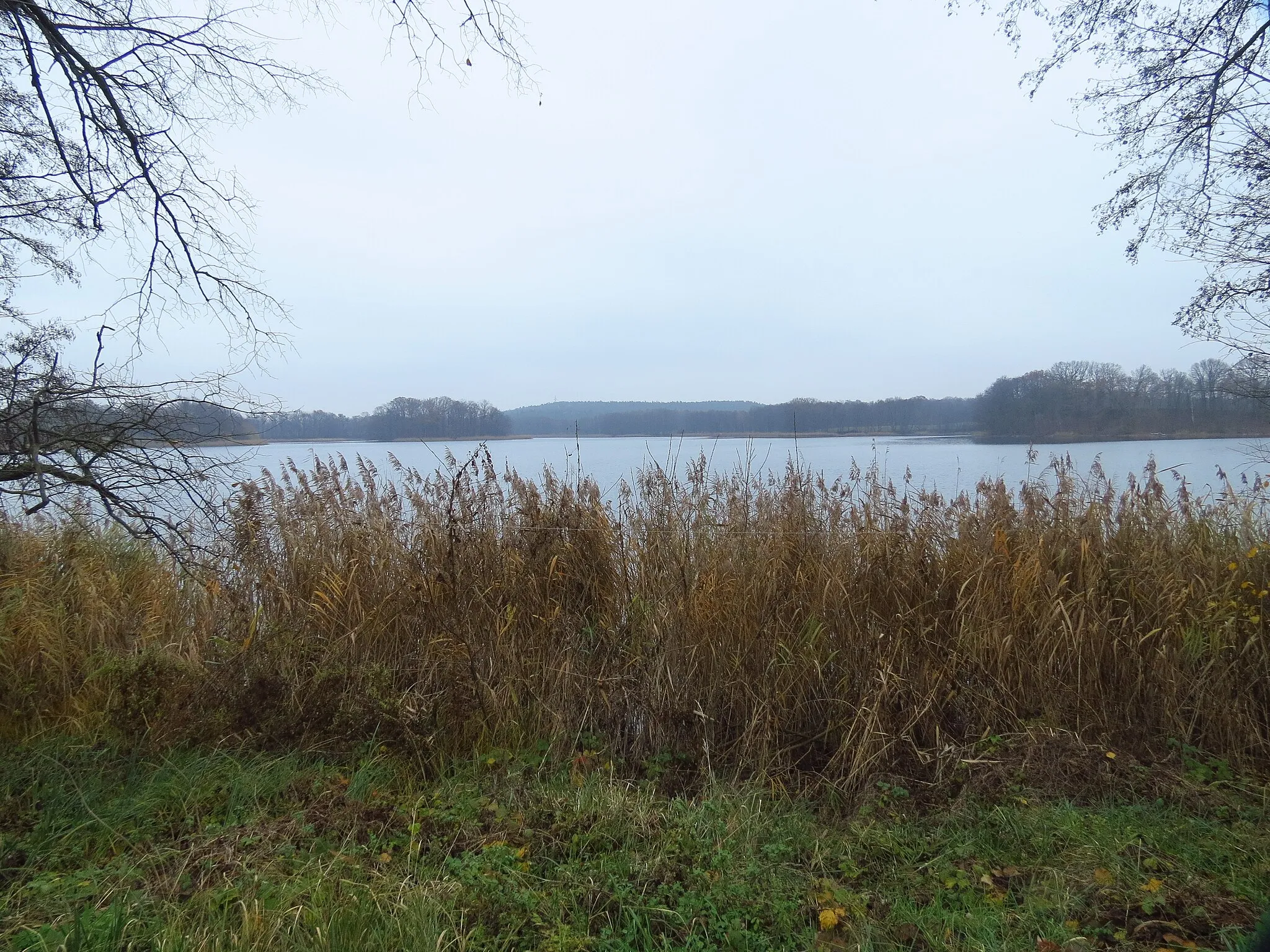 Photo showing: Düstersee bei Alt-Temmen, Gemeinde Temmen-Ringenwalde, Lkr. Uckermark, Brandenburg, Blick vom Alt-Temmener Gutshaus auf den See