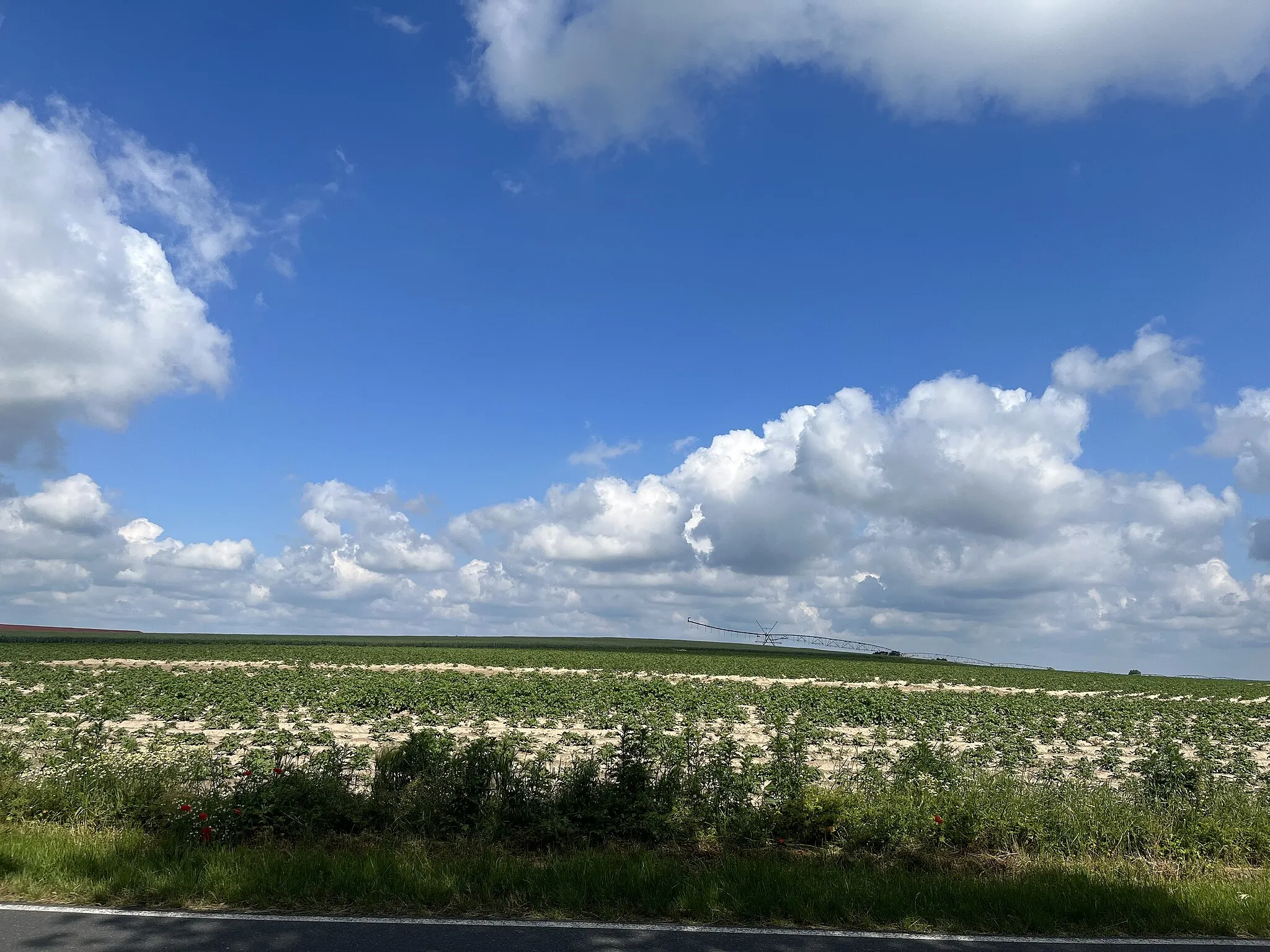 Photo showing: Wachtelberg, 100,6 Meter hohe Erhebung bei Oehna, Ortsteil von Niedergörsdorf in Brandenburg