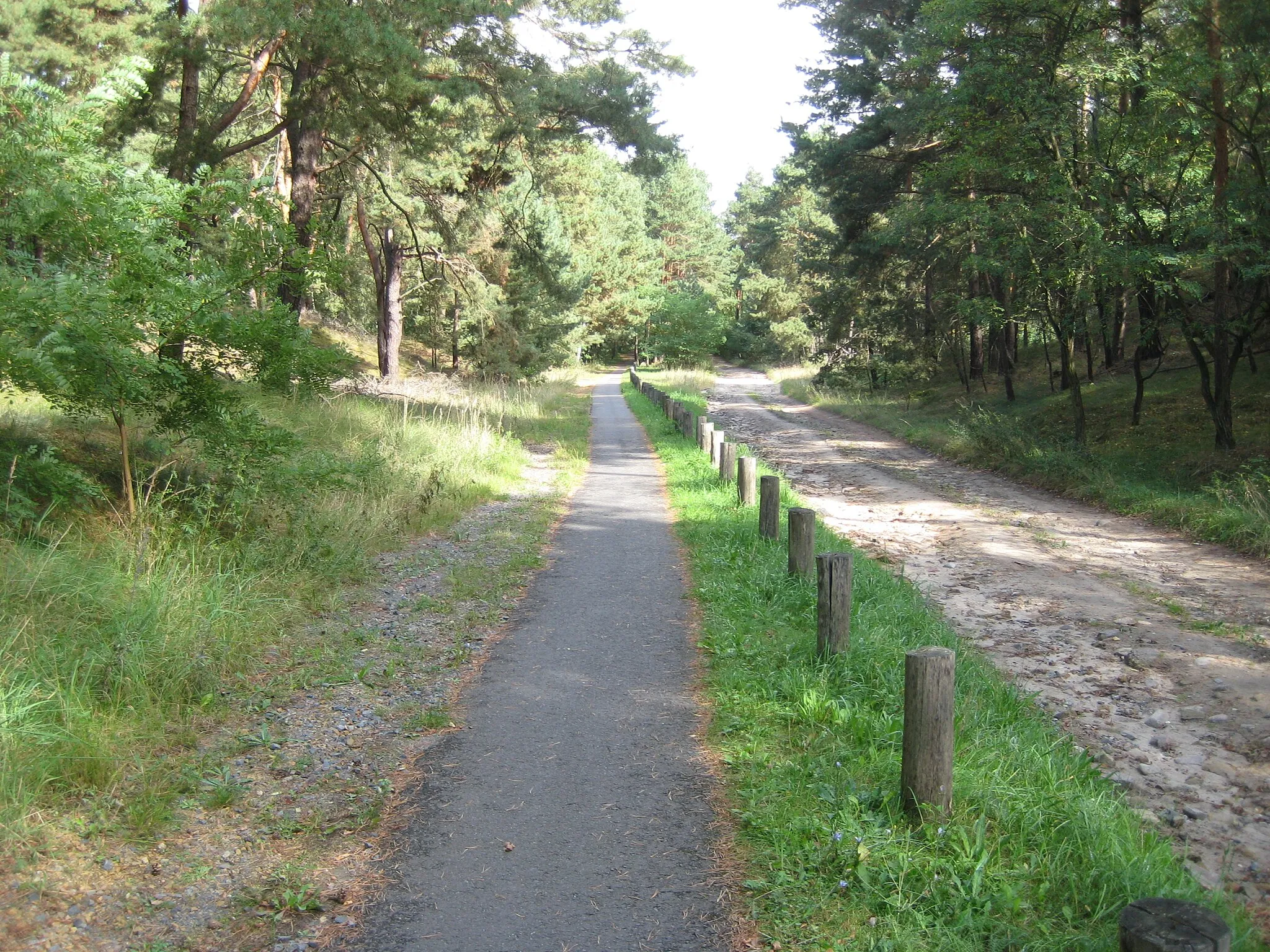 Photo showing: Rad- und Wanderweg Kallinchen - Wünsdorf