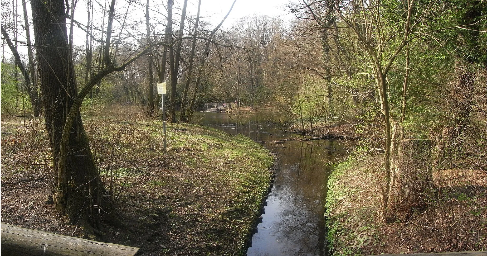 Photo showing: Junction of Packereigraben into Steinbergsee in Berlin