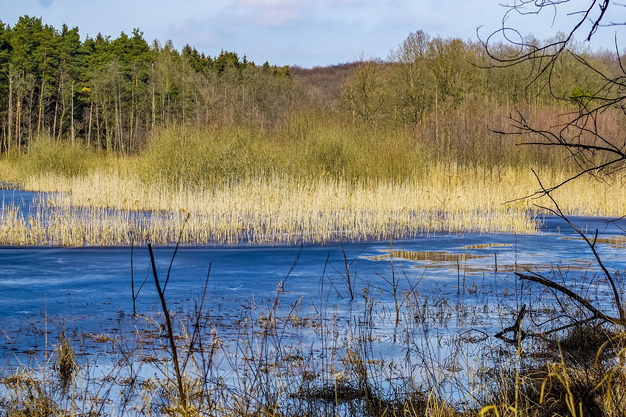 Photo showing: Kleiner Kelpinsee frozen with ice in winter - Moränenlandschaft Poratz