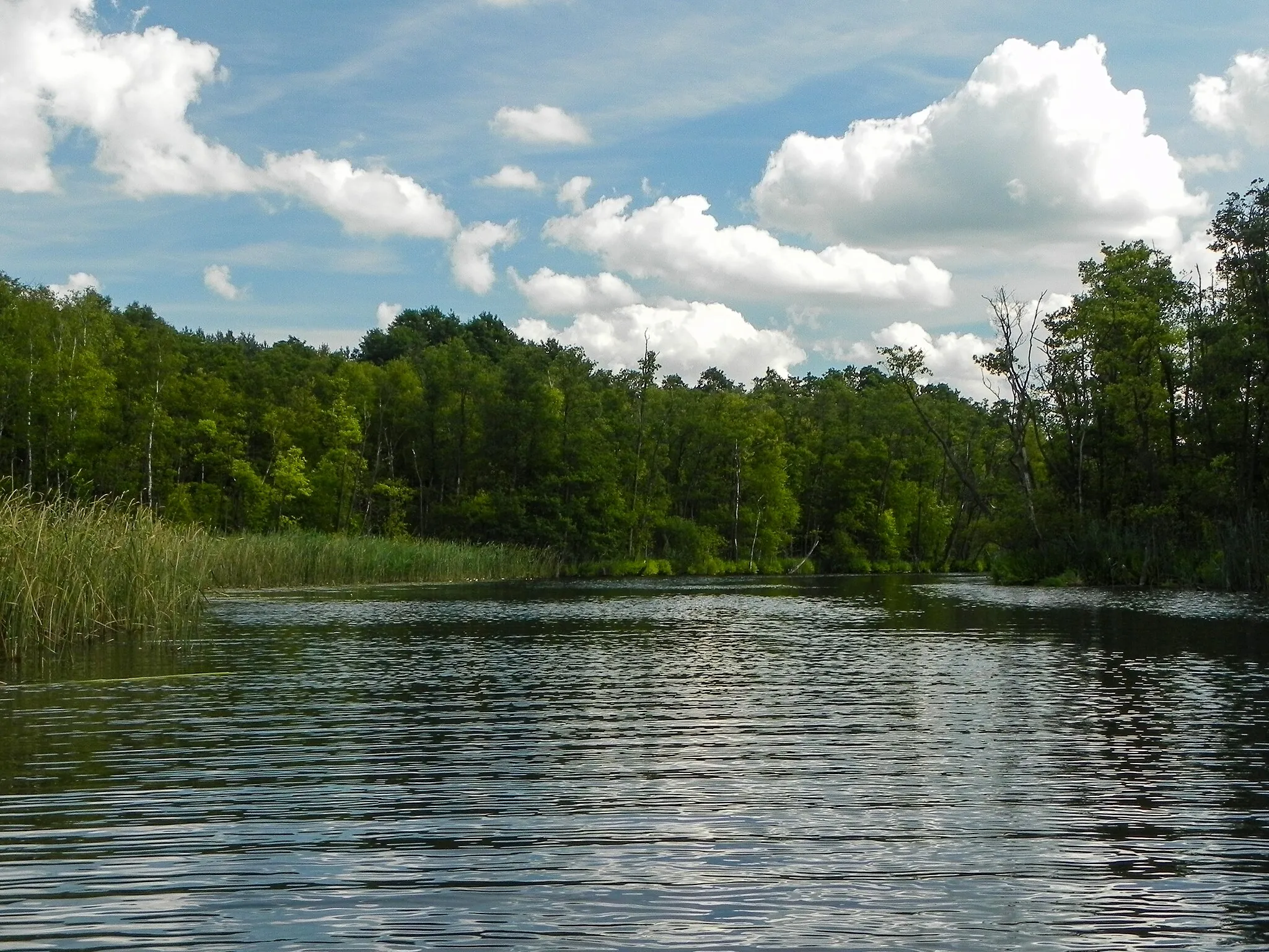 Photo showing: Landschaftsschutzgebiet „Neustrelitzer Kleinseenplatte“ (LSG L38) in Mecklenburg-Vorpommern: Die Drosedower Bek zwischen Rätzsee und Gobenowsee