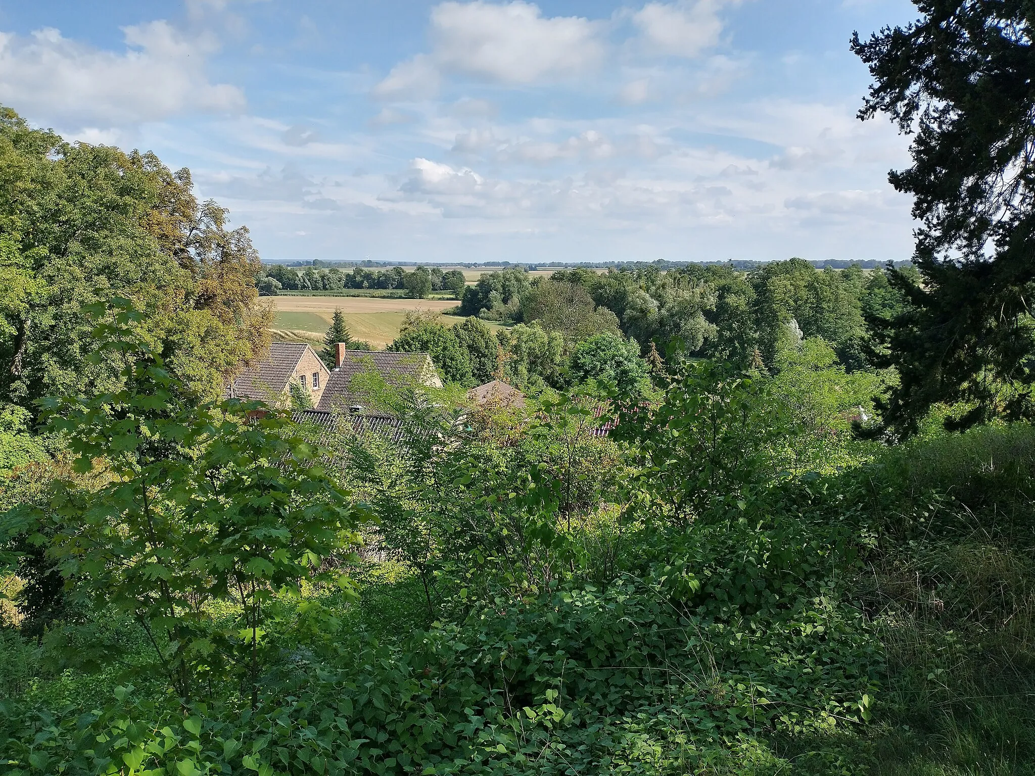 Photo showing: Widok na dolinę Odry spod kościoła w Neutornow.