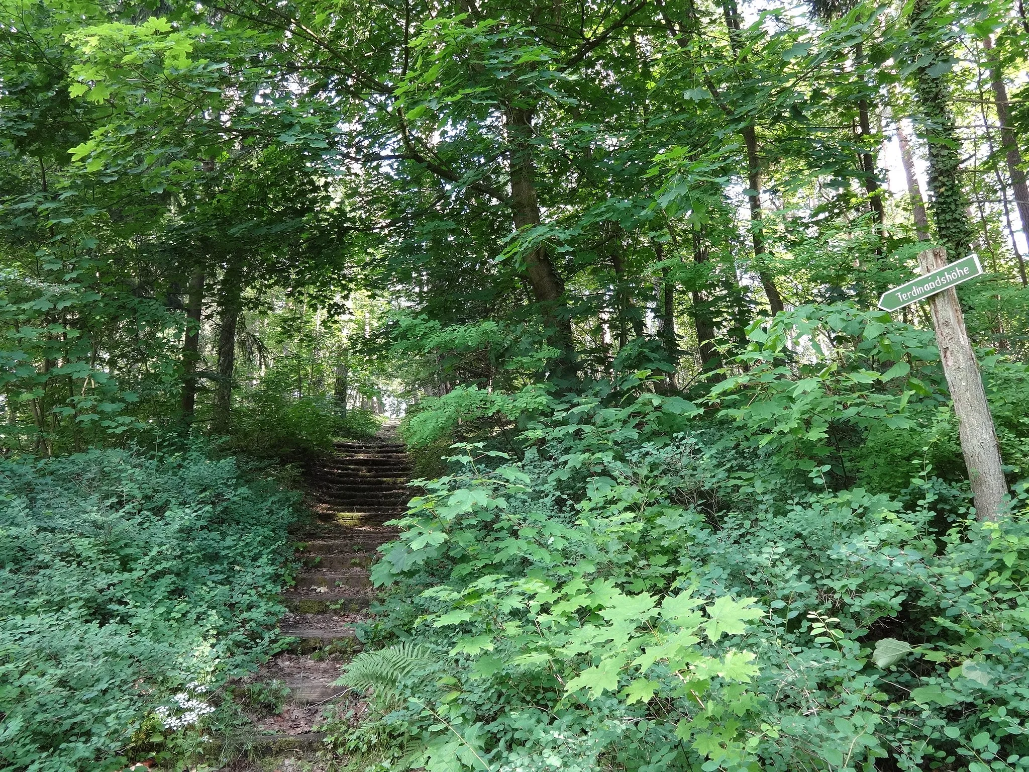 Photo showing: Aufstieg zur Ferdinandshöhe, eine 47 Meter hohe Erhebung in Buckow (Märkische Schweiz), MOL, Brandenburg