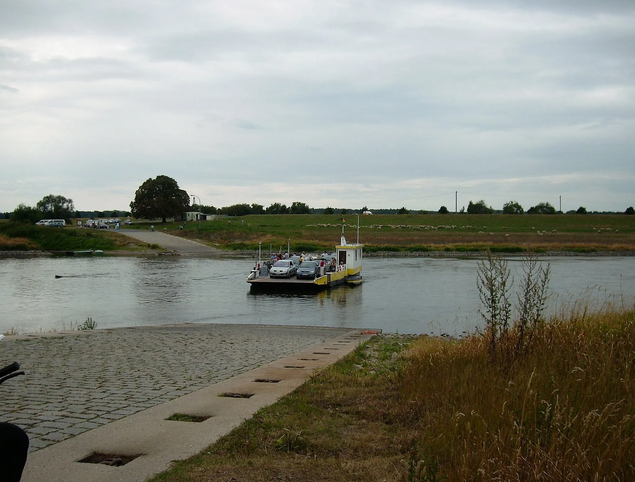 Photo showing: Ferry across the Elbe at Mühlberg/Elbe (Elbe-Elster district, Brandenburg), replaced by a bridge since December 2008.