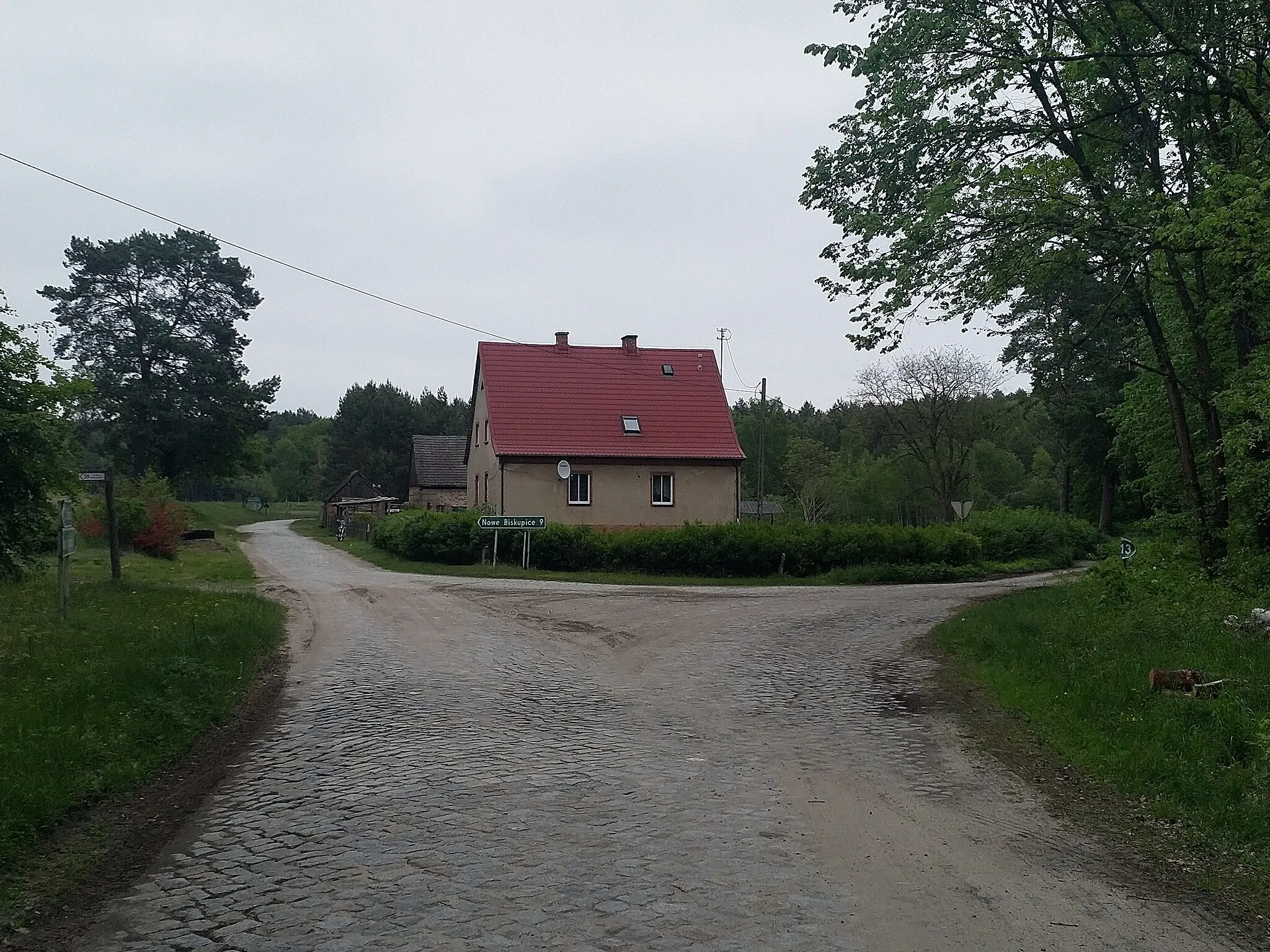 Photo showing: Główna część kolonii Zielony Bór.