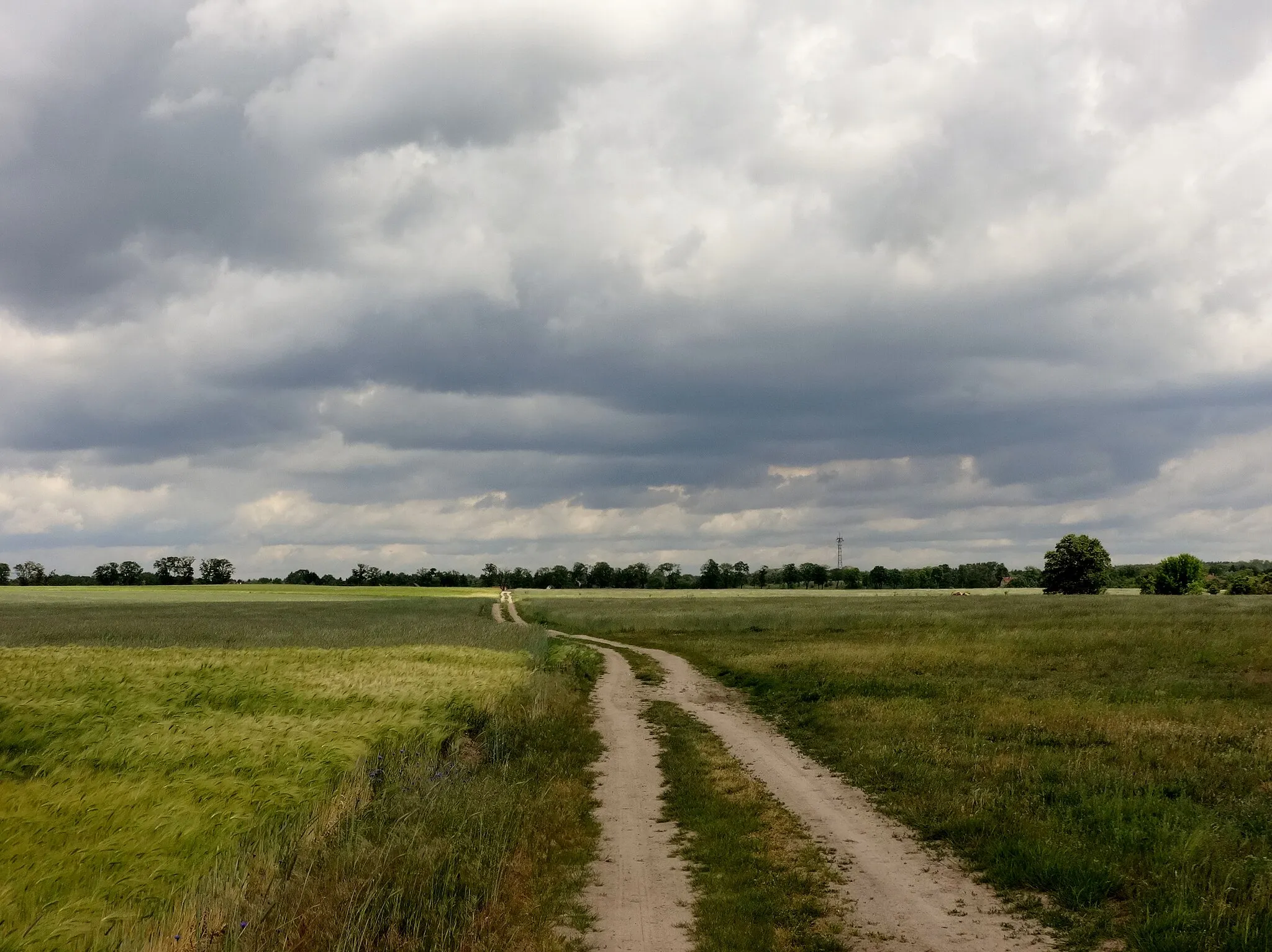 Photo showing: Rehfelde ist eine Gemeinde im Landkreis Märkisch-Oderland in Brandenburg und ist Teil des Amtes Märkische Schweiz.
Der Lilien-Rundweg in Rehfelde ist ein rund 14 Kilometer langer Rundweg, der vom Bahnhof Rehfelde über Garzau, Werder, Rehfelde-Dorf und Rehfelde an vier Feldsteinkirchen vorbeiführt, die von den Zisterziensern im 13. Jahrhundert errichtet wurden. Der Weg wurde 2005 anlässlich des 1000-jährigen Jubiläums der Christianisierung Brandenburgs eingeweiht