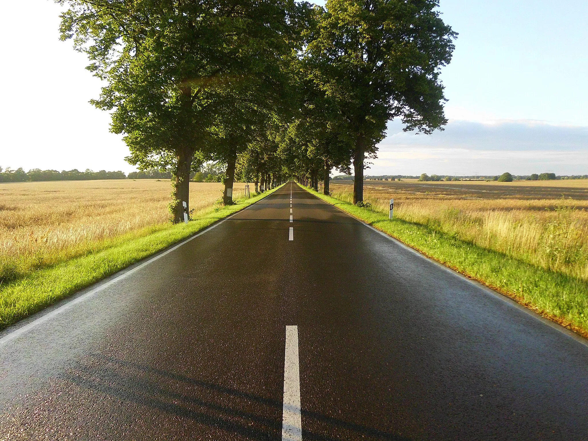 Photo showing: Allee von Dahlewitz nach Glasow