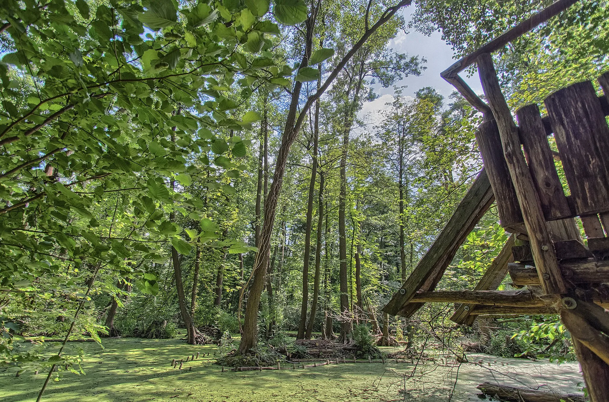 Photo showing: Kleiner Spreewald-Park in Schöneiche