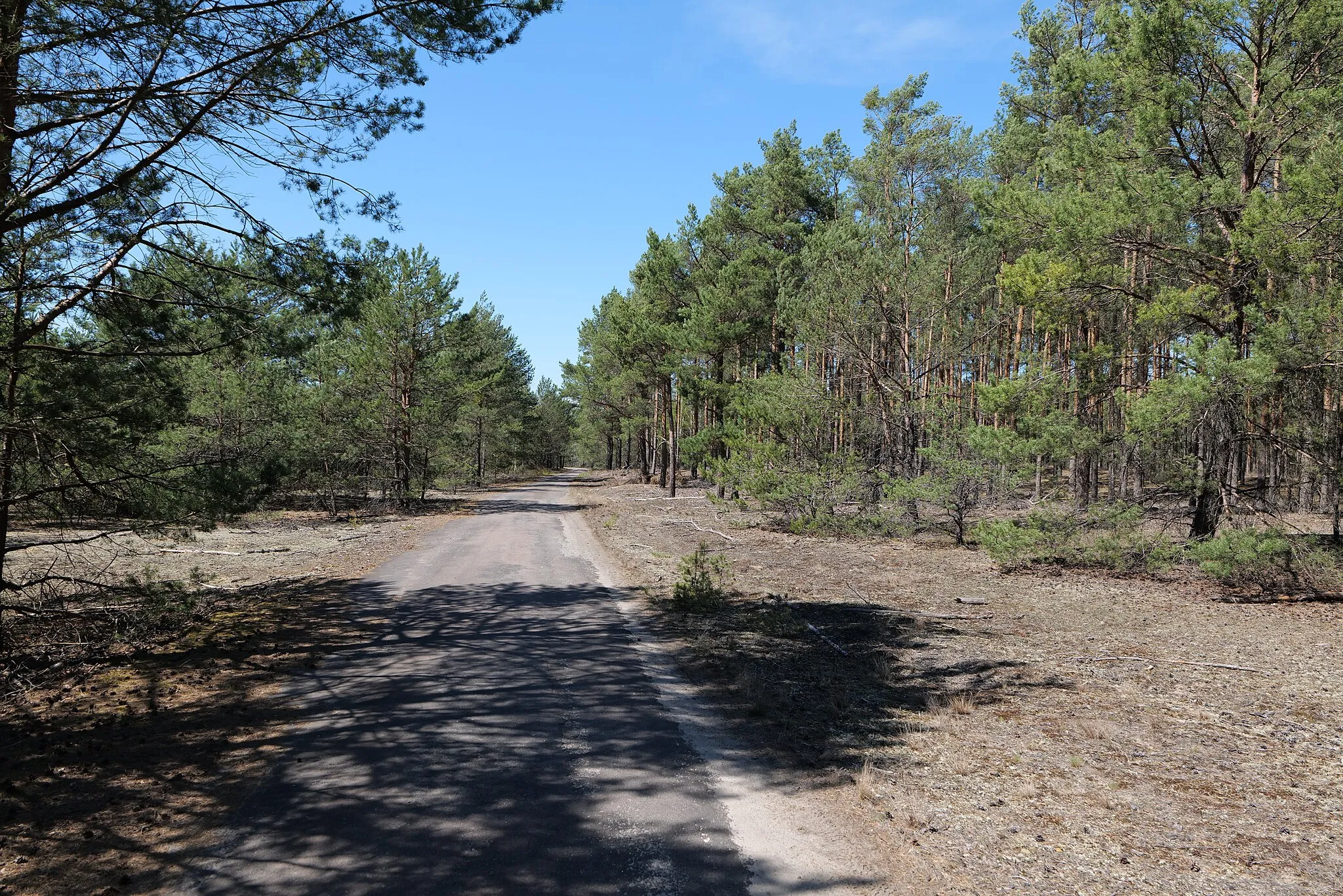 Photo showing: Naturschutzgebiet Jägersberg-Schirknitzberg am 9. Mai 2021.