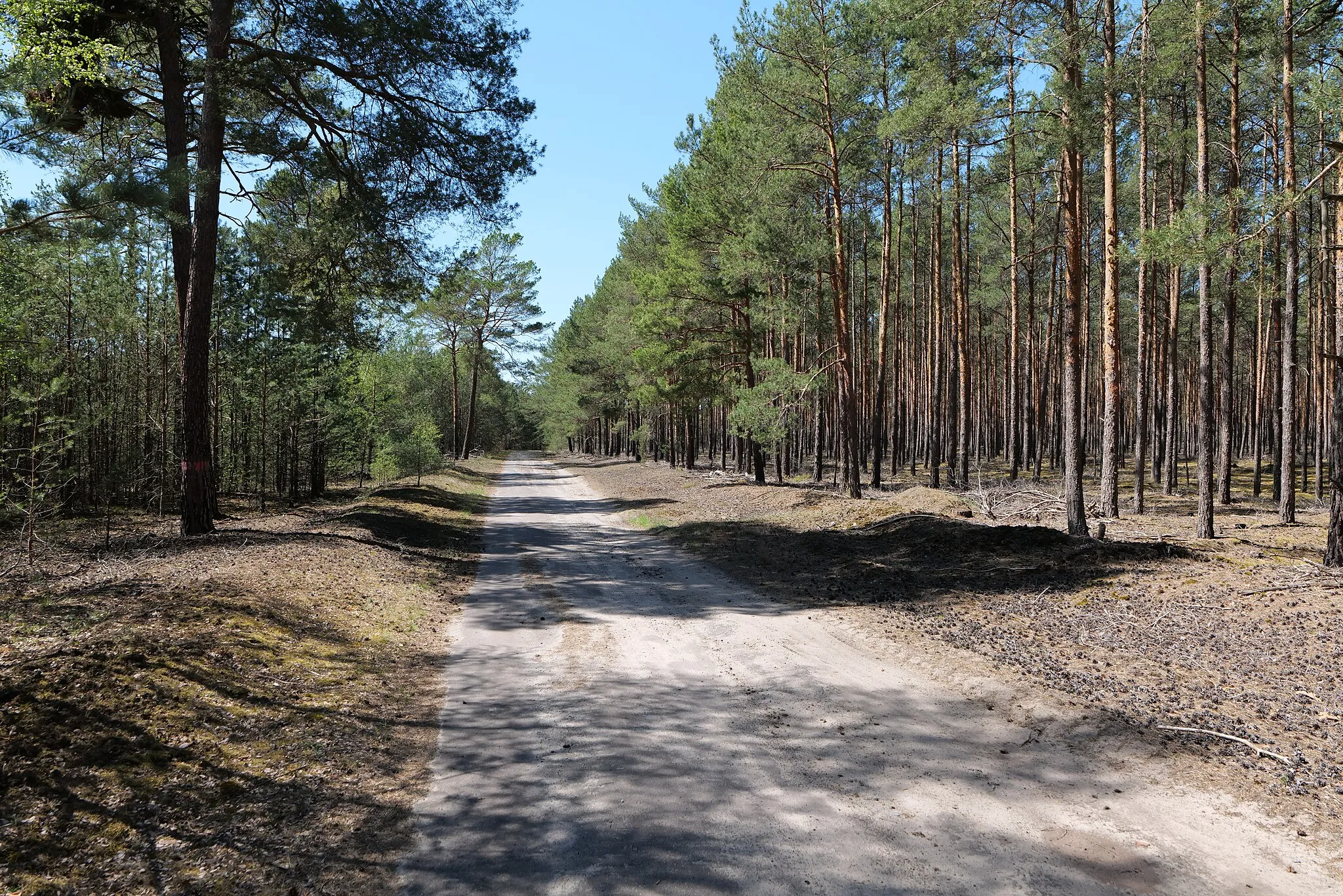 Photo showing: Naturschutzgebiet Jägersberg-Schirknitzberg am 9. Mai 2021.