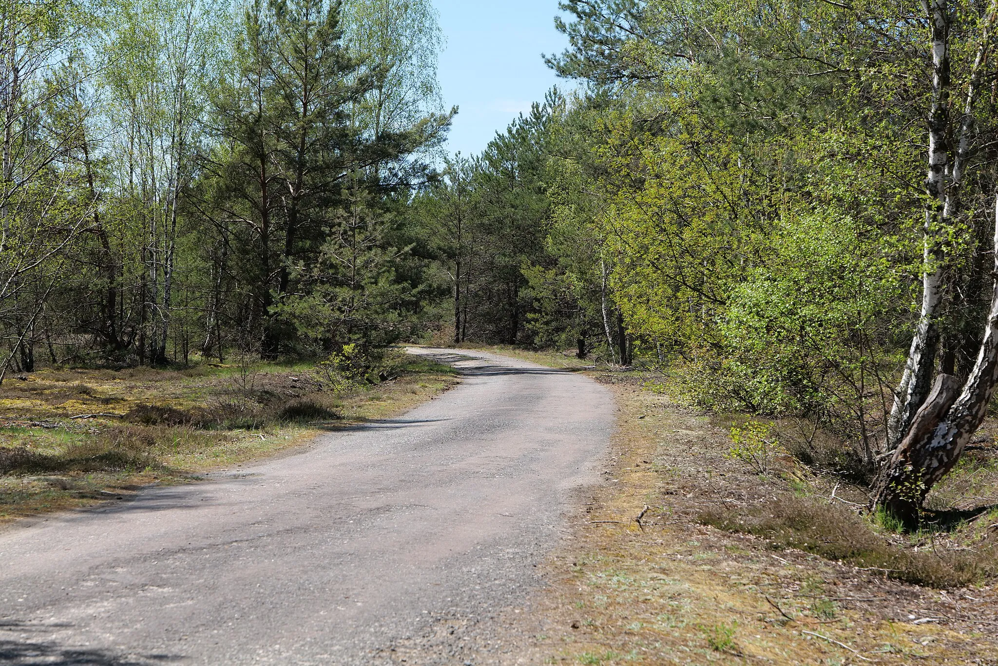 Photo showing: Naturschutzgebiet Jägersberg-Schirknitzberg am 9. Mai 2021.