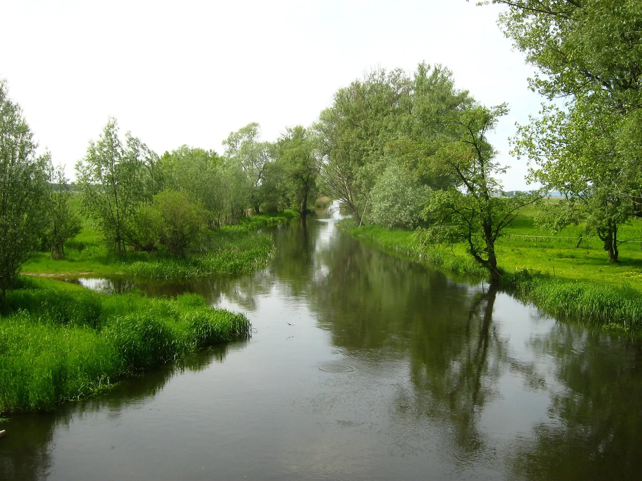 Photo showing: Der Rhin im Rhinower Ortsteil Kietz (Brandenburg).