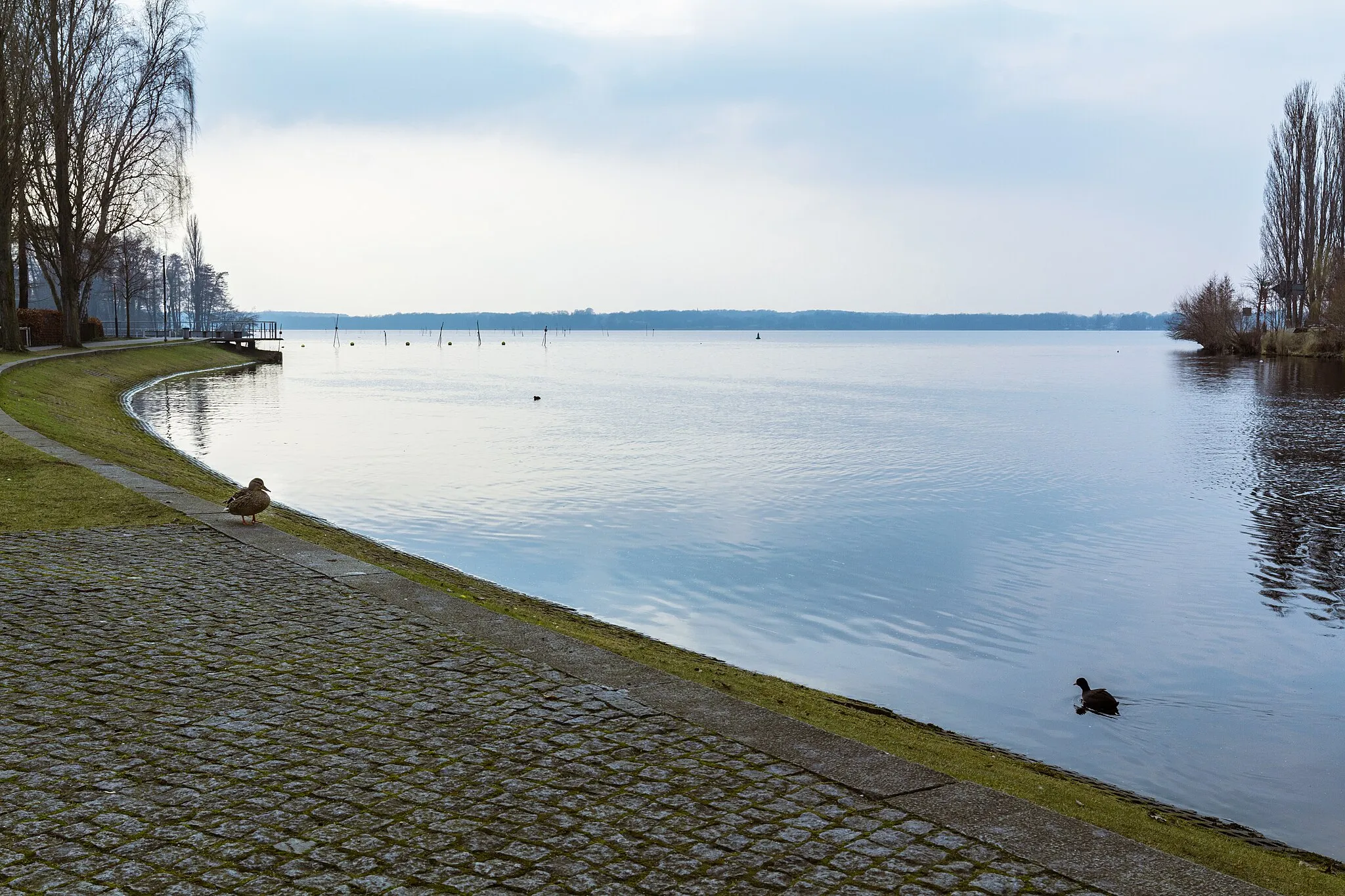 Photo showing: Übergang des Caputher Gemündes in den Schwielowsee.