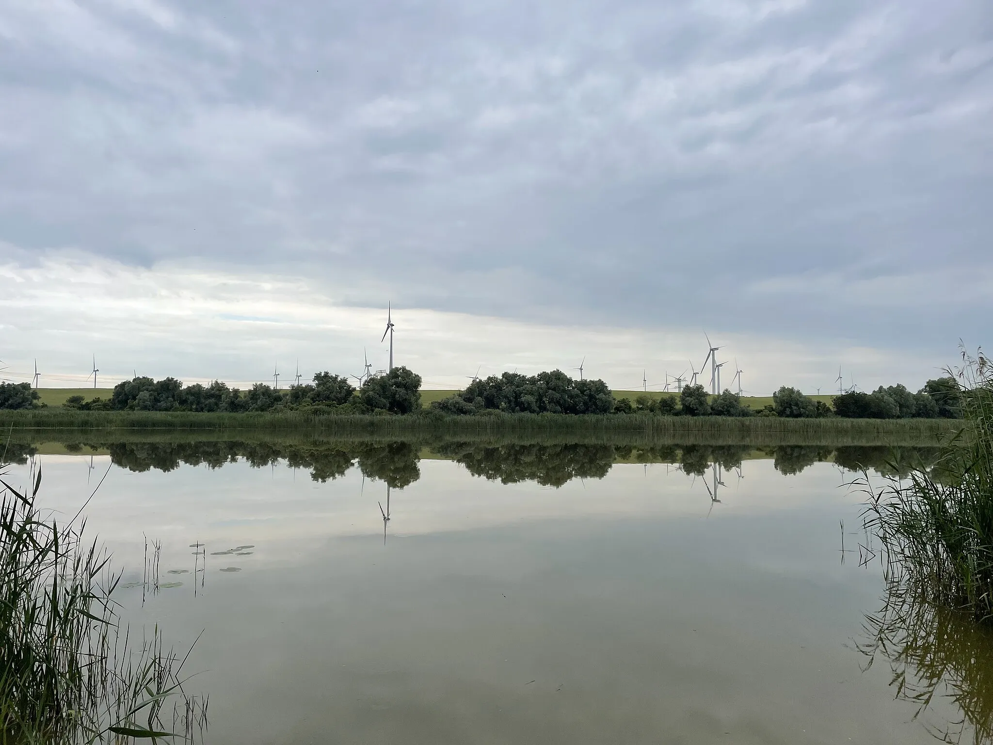 Photo showing: Baumgartener See in Schenkenberg-Baumgarten, Brandenburg