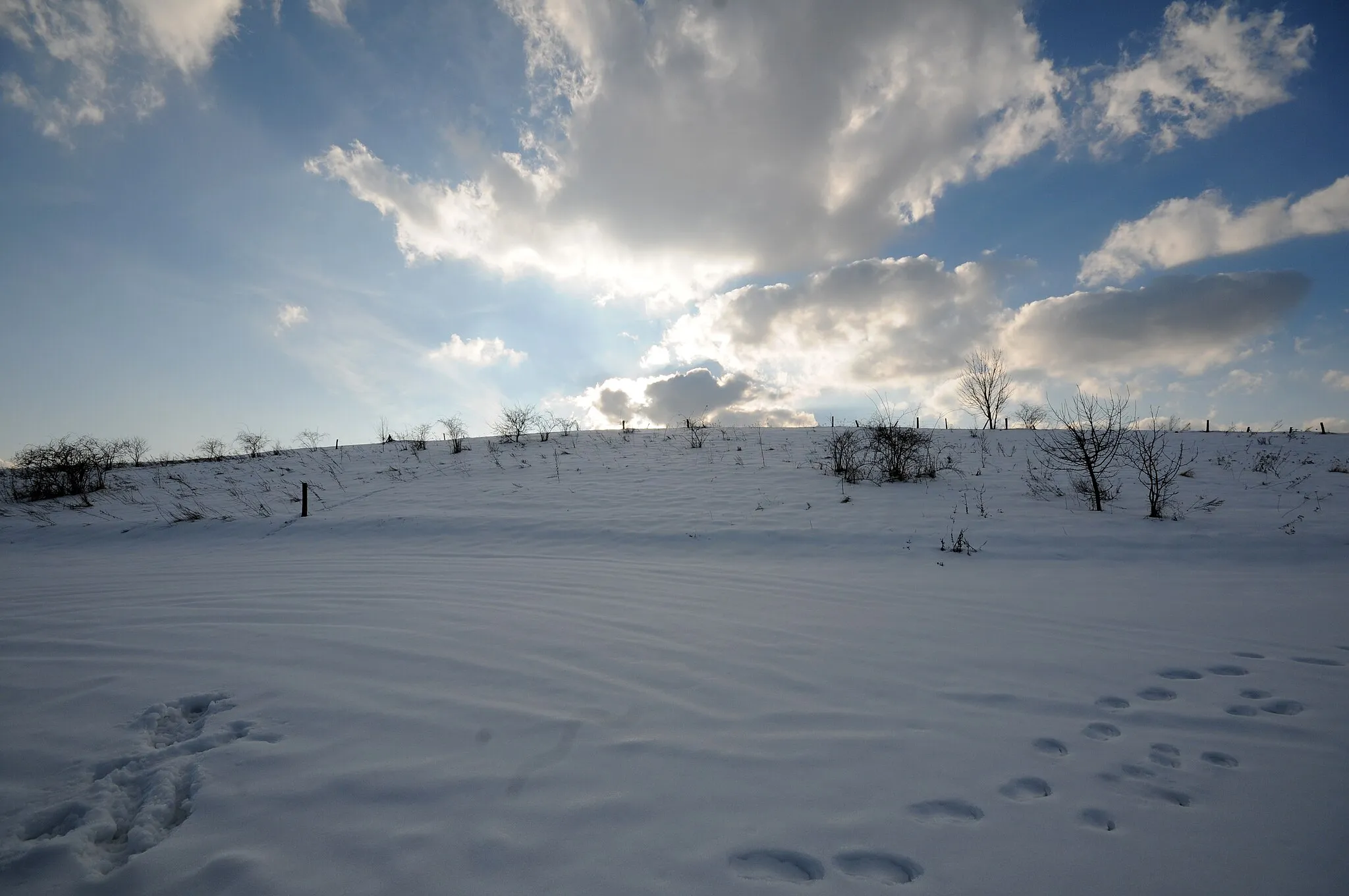 Photo showing: Oderberg, Landkreis Barnim