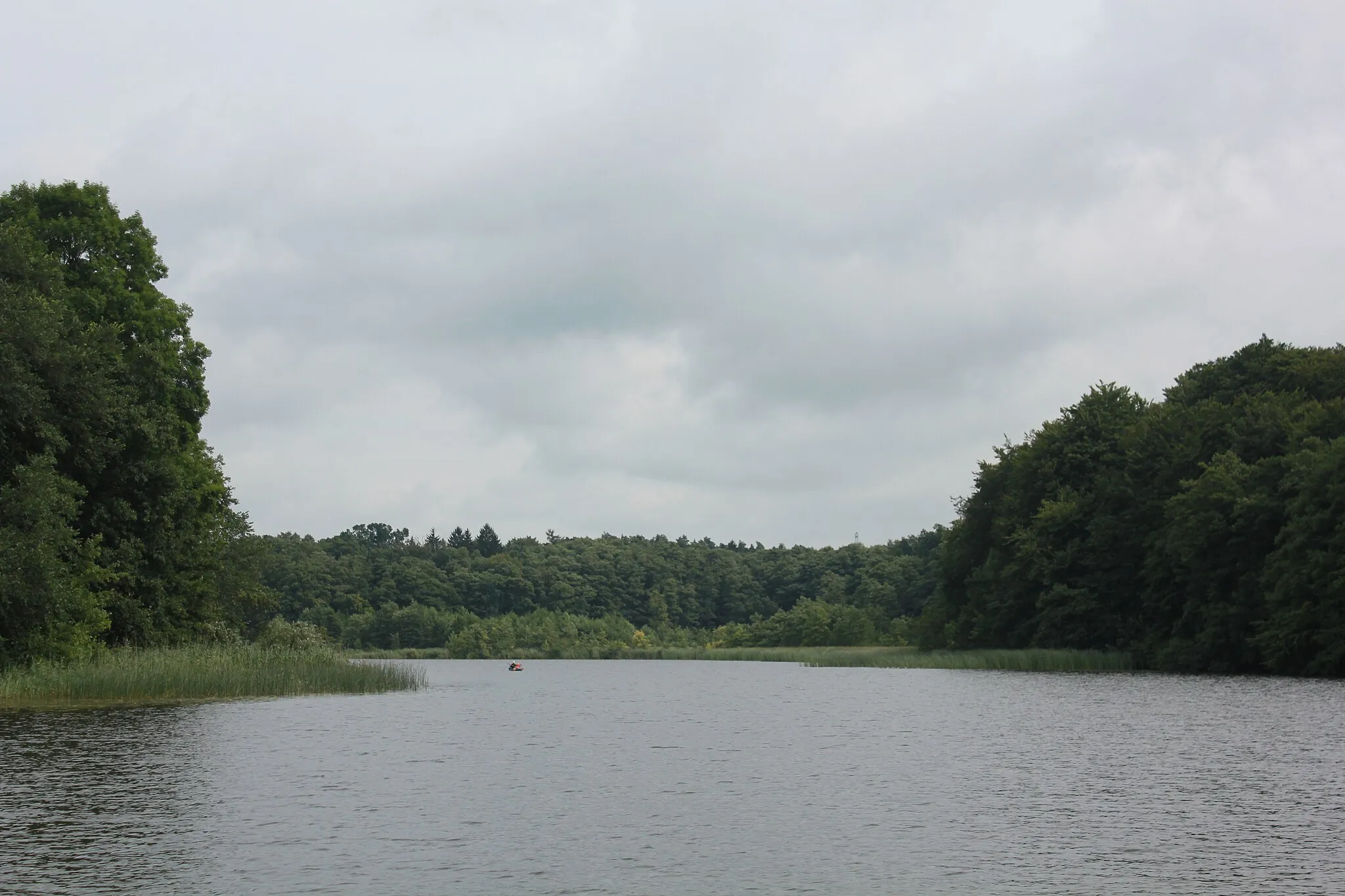 Photo showing: View from the Havel to the Drewensee