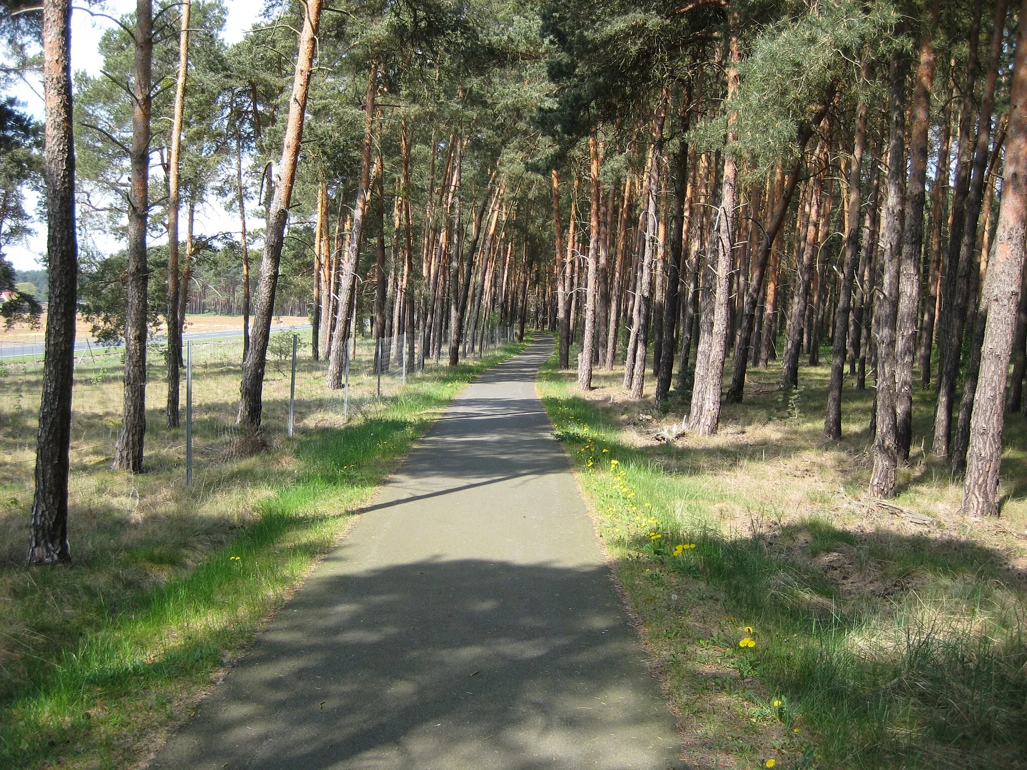 Photo showing: Radweg Dornswalde - Radeland