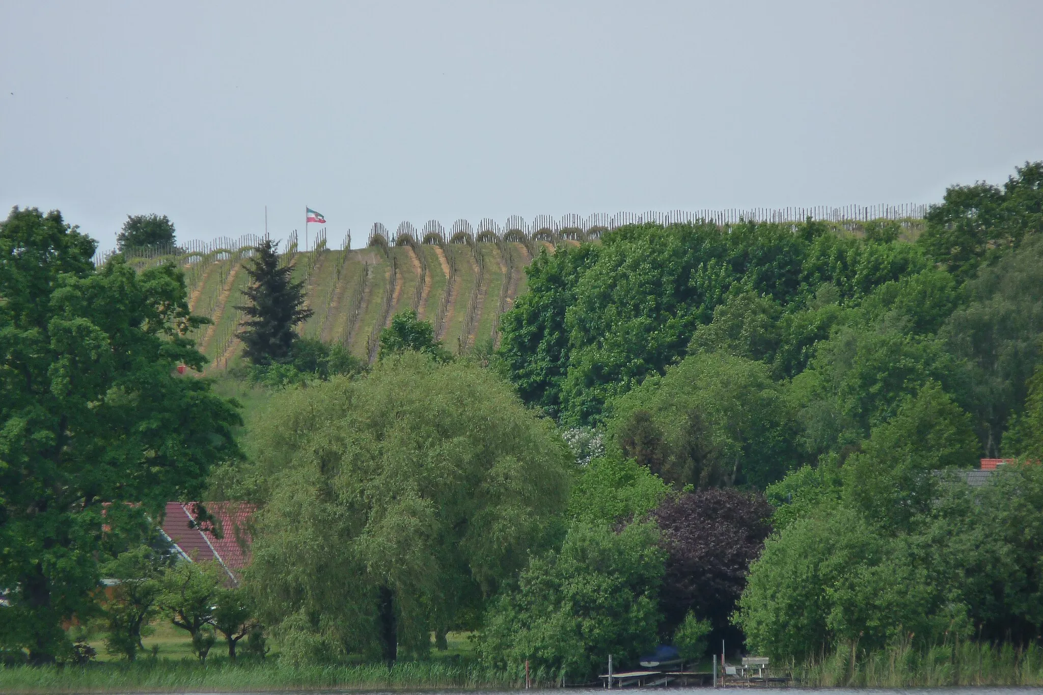 Photo showing: The vineyard Quail's Mountain of Werder lies geographically with Latitude of 52 degree and 22 minutes north far to the north of the usual wine-growing areas of Europe. In 1991 this vineyard was taken up as a Großlagenfreie Einzellage in the Weinanbaugebiet Saale-Unstrut (winegrowing area at the rivers Saale and Unstrut) and was recognised by the EU. It is with it the most northern registered position for quality-tested wine cultivation (QbA) in Europe and the World.