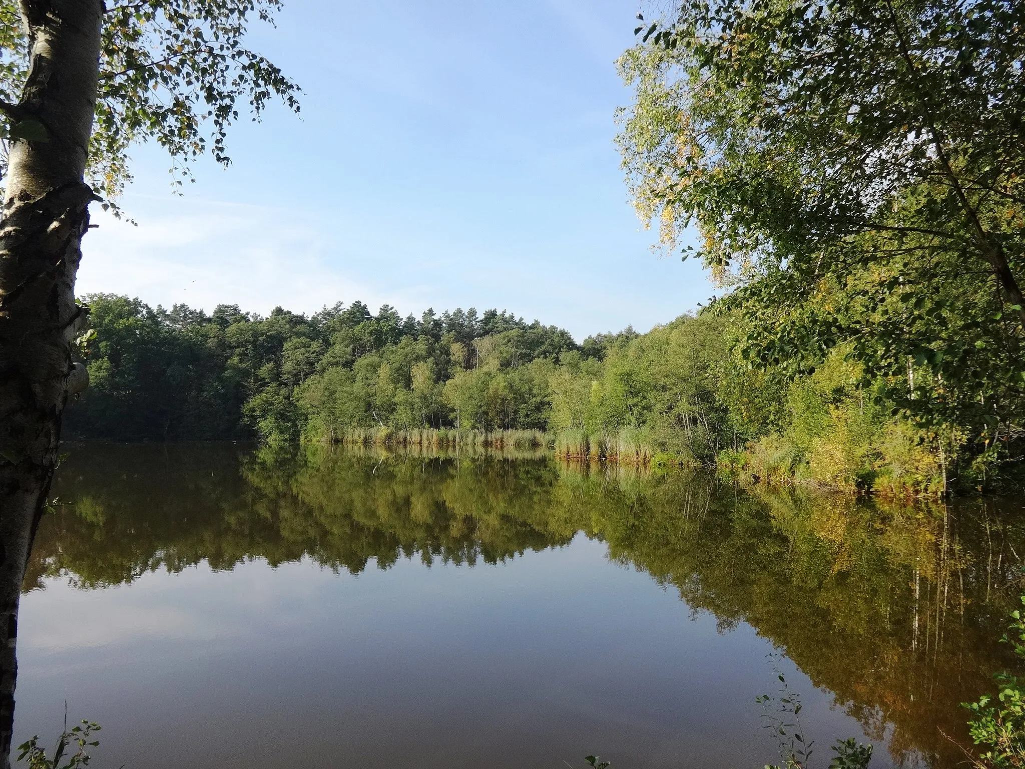 Photo showing: Die Heideseen sind eine kleine Seenplatte südlich der Stadt Märkisch Buchholz, die teilweise zum Gemeindeteil Köthen gehören.