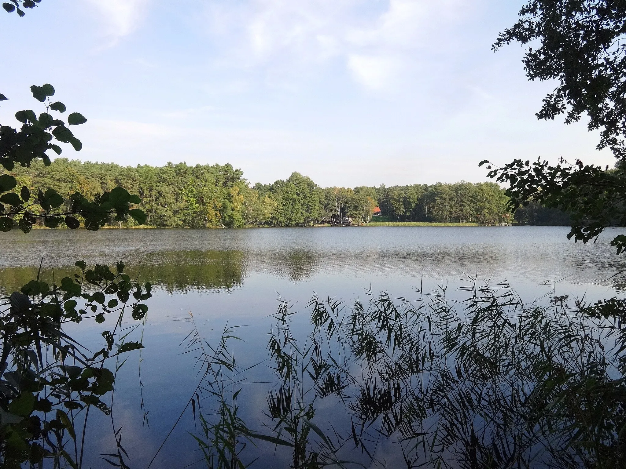 Photo showing: Die Heideseen sind eine kleine Seenplatte südlich der Stadt Märkisch Buchholz, die teilweise zum Gemeindeteil Köthen gehören.