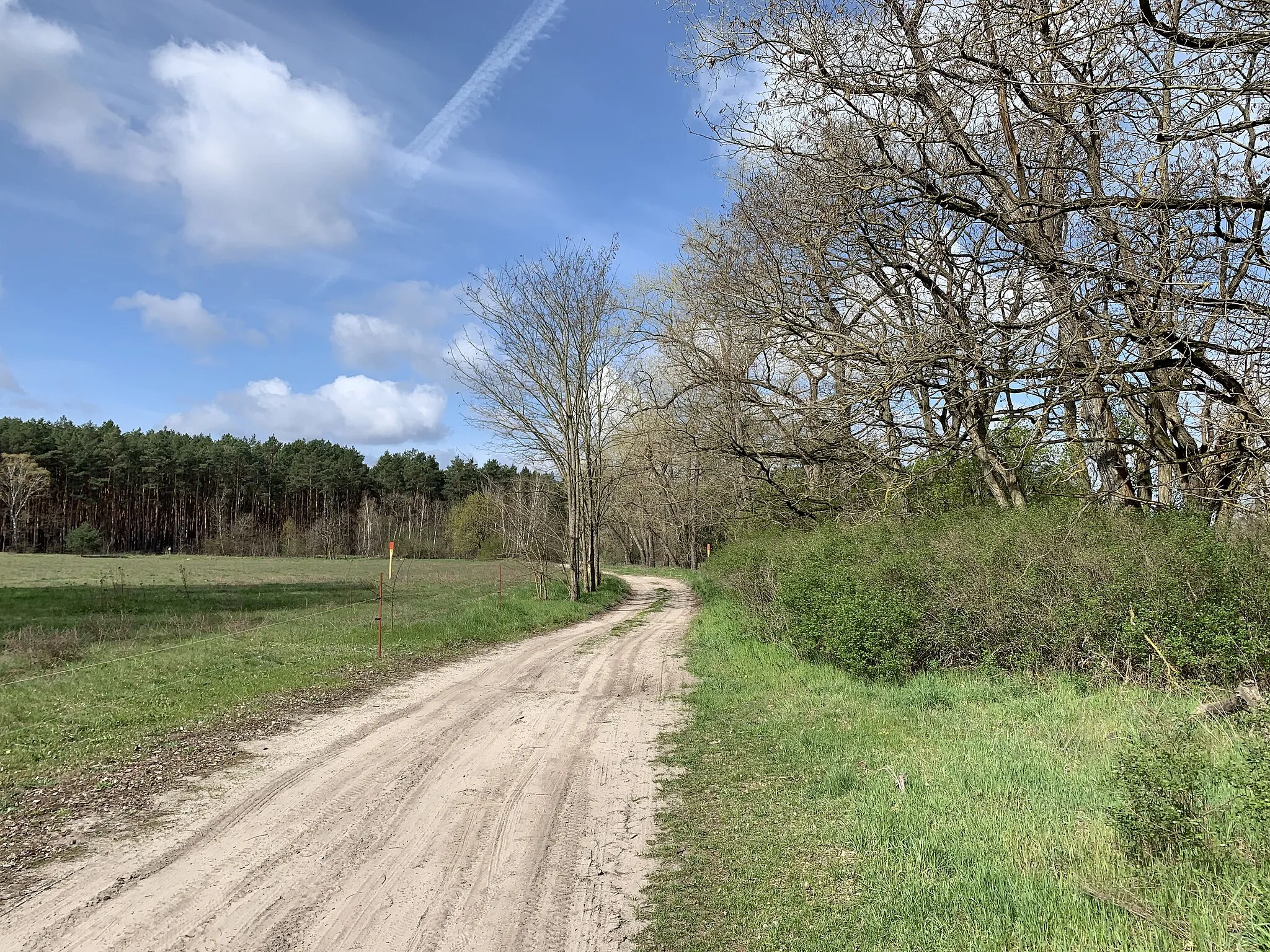 Photo showing: Am Pätzer See ist ein Wohnplatz der Gemeinde Groß Köris in Brandenburg