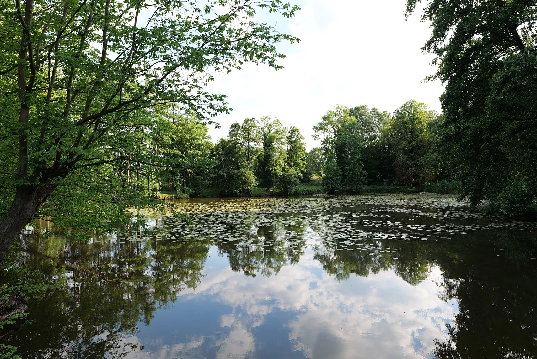 Photo showing: Teich im Gutspark Wulkow.
