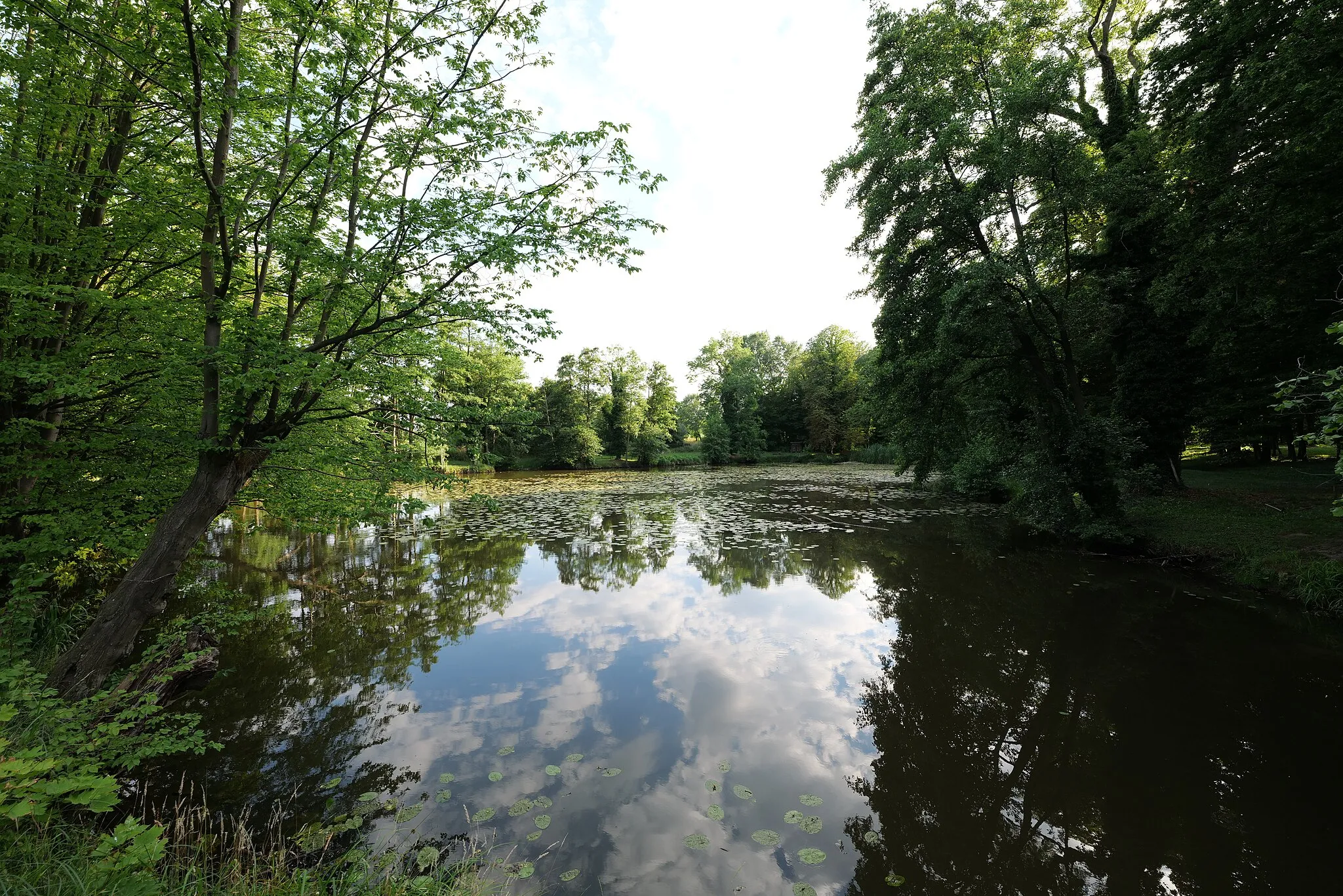 Photo showing: Teich im Gutspark Wulkow.