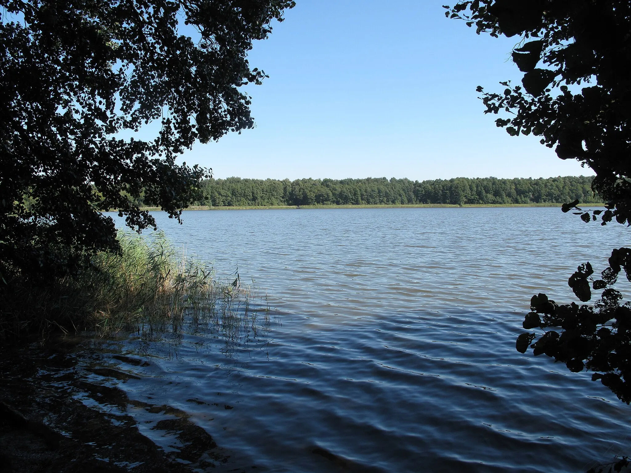 Photo showing: The Lebbiner See is a lake in the town Storkow, District Oder-Spree, Brandenburg, Germany. Parts of the shore area belong to the eponymous village Lebbin, a part of Markgrafpieske, municipality Spreenhagen. The lake covers 28 hectare and has a depth of max. 4 meters. It is situated in the Dahme-Heideseen Nature Park.