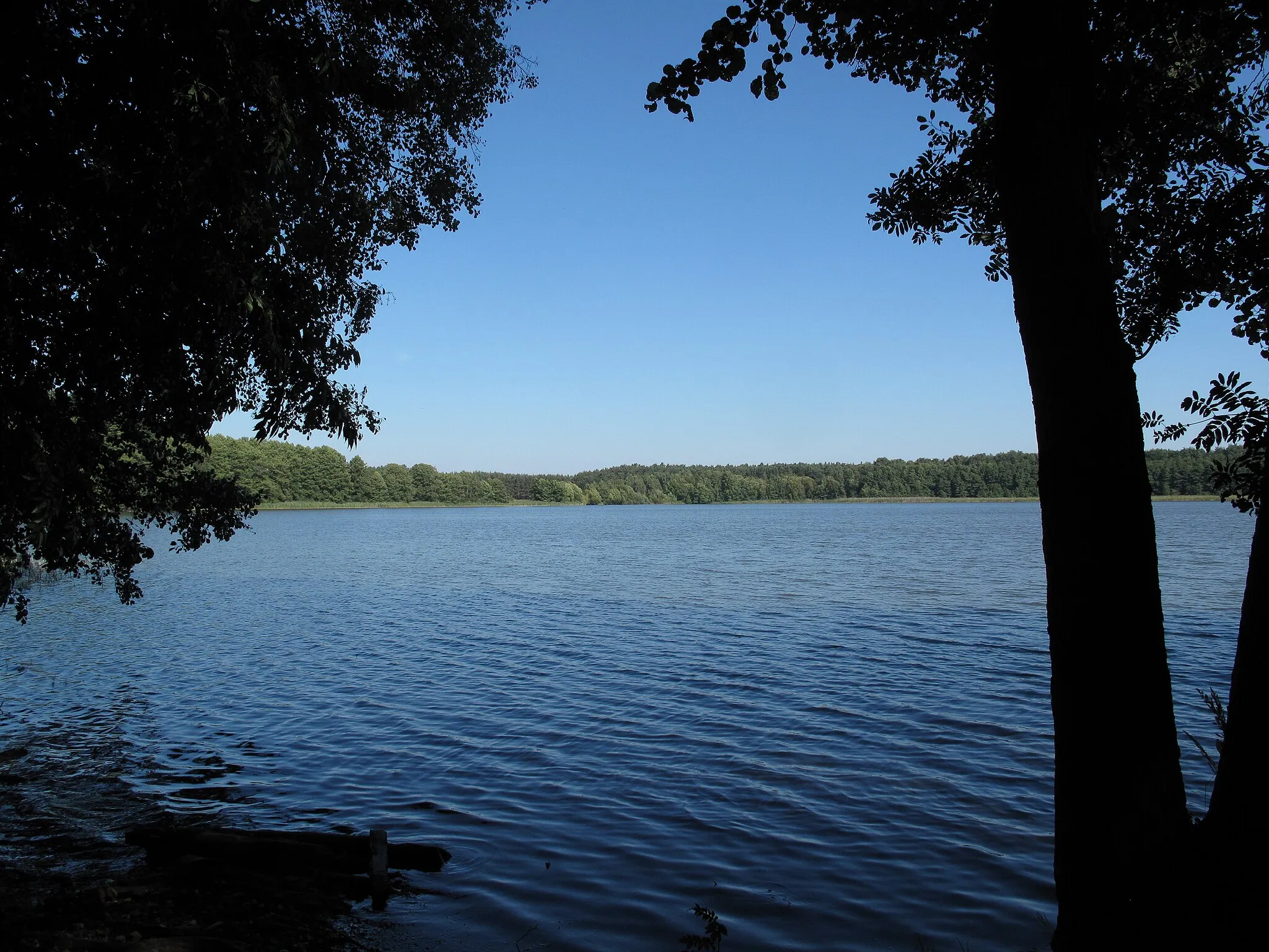 Photo showing: The Lebbiner See is a lake in the town Storkow, District Oder-Spree, Brandenburg, Germany. Parts of the shore area belong to the eponymous village Lebbin, a part of Markgrafpieske, municipality Spreenhagen. The lake covers 28 hectare and has a depth of max. 4 meters. It is situated in the Dahme-Heideseen Nature Park.