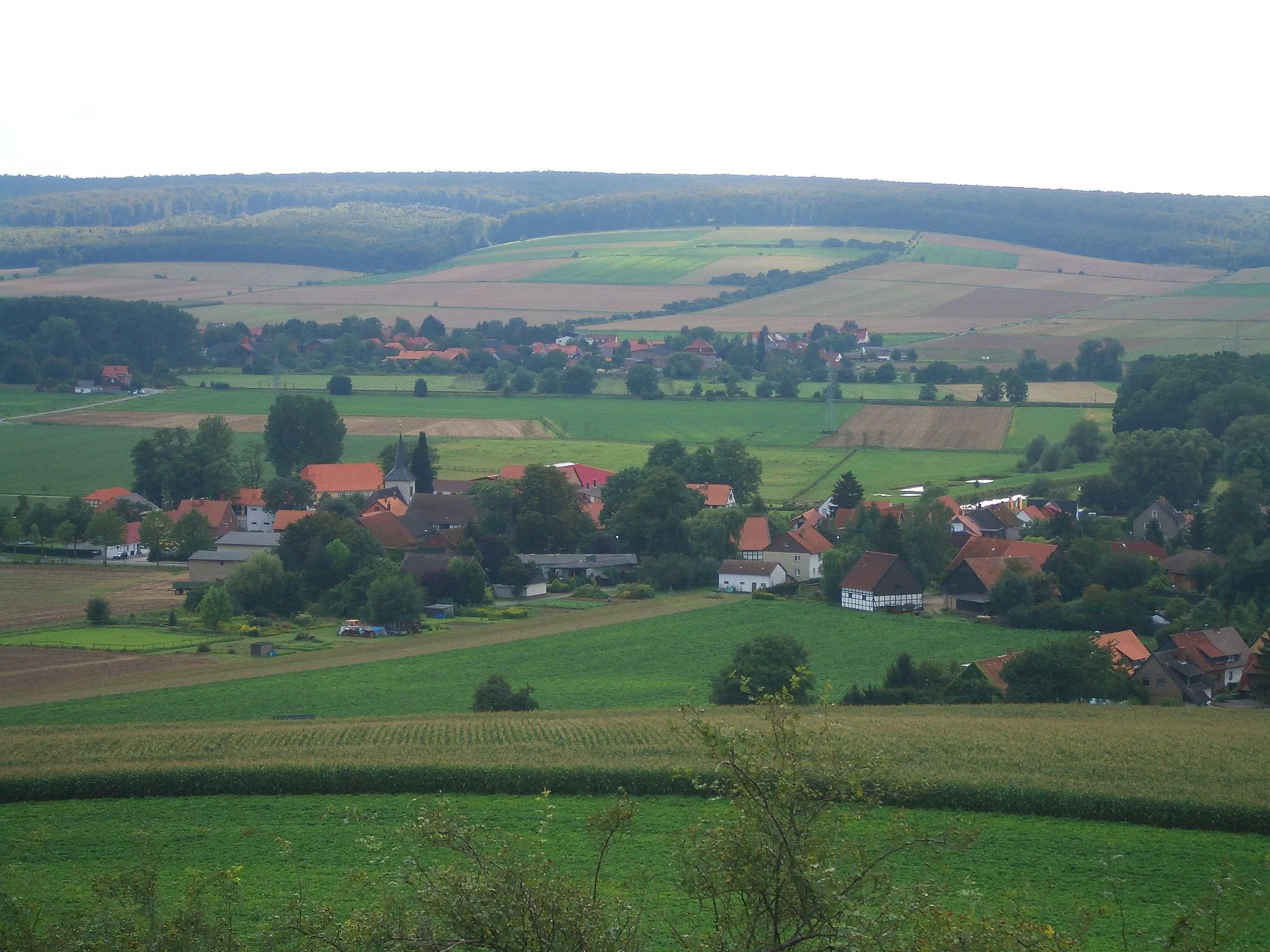Photo showing: Blick vom Ösel auf Neindorf und Ohrum sowie den Oderwald