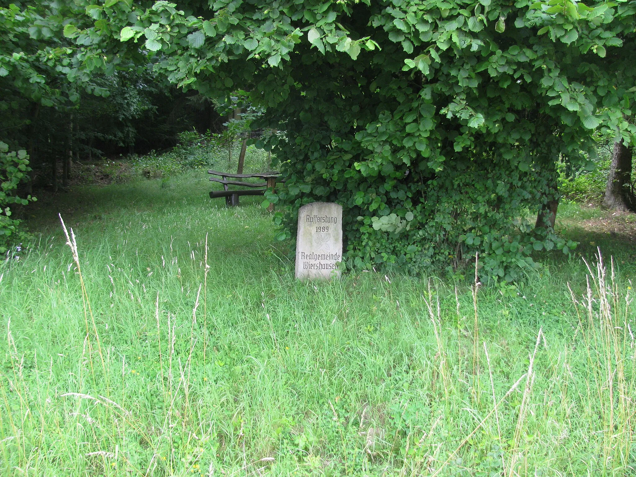 Photo showing: ein Gedenkstein für eine Aufforstung der Realgemeinde Wiershausen an dem westlichen Rand der Lichtung von Wiershausen