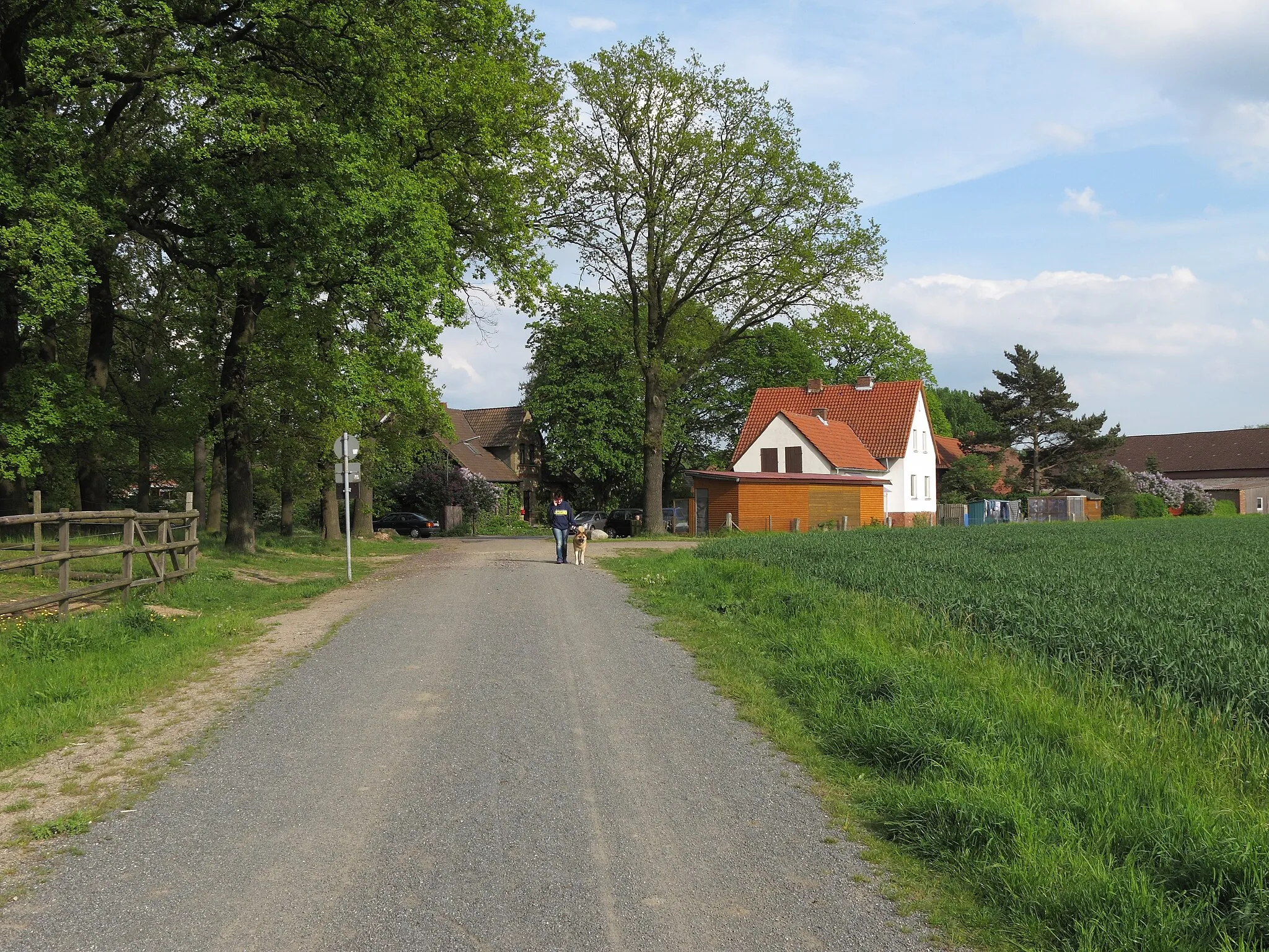 Photo showing: Bechtsbüttel, Germany