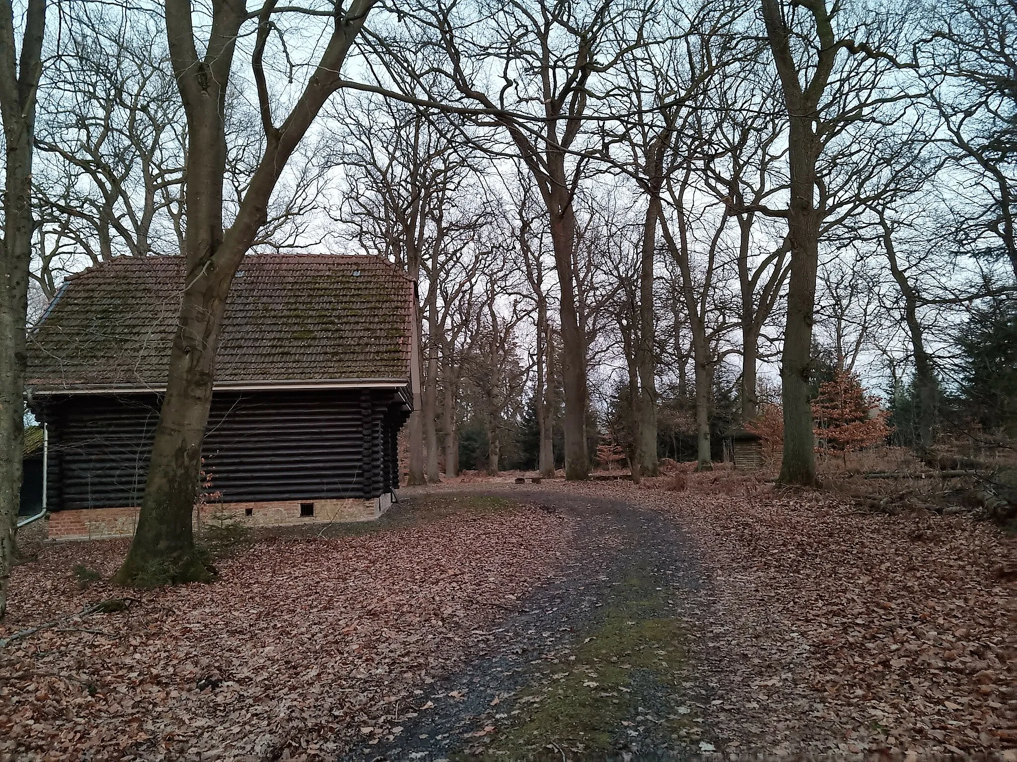 Photo showing: Hütte des Försters nahe der Kasseler Schneise